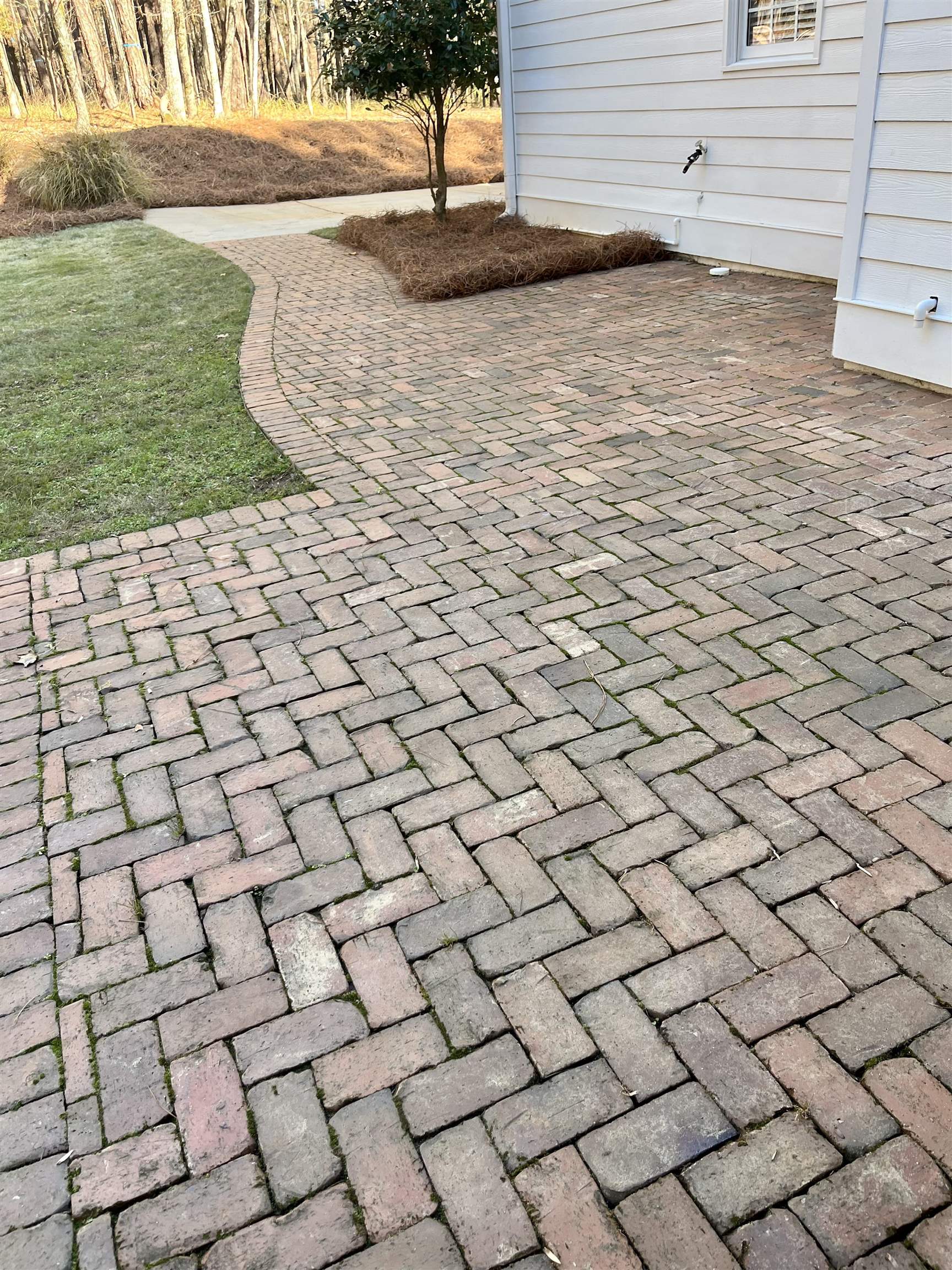 1211 CLUB COVE DRIVE image 23