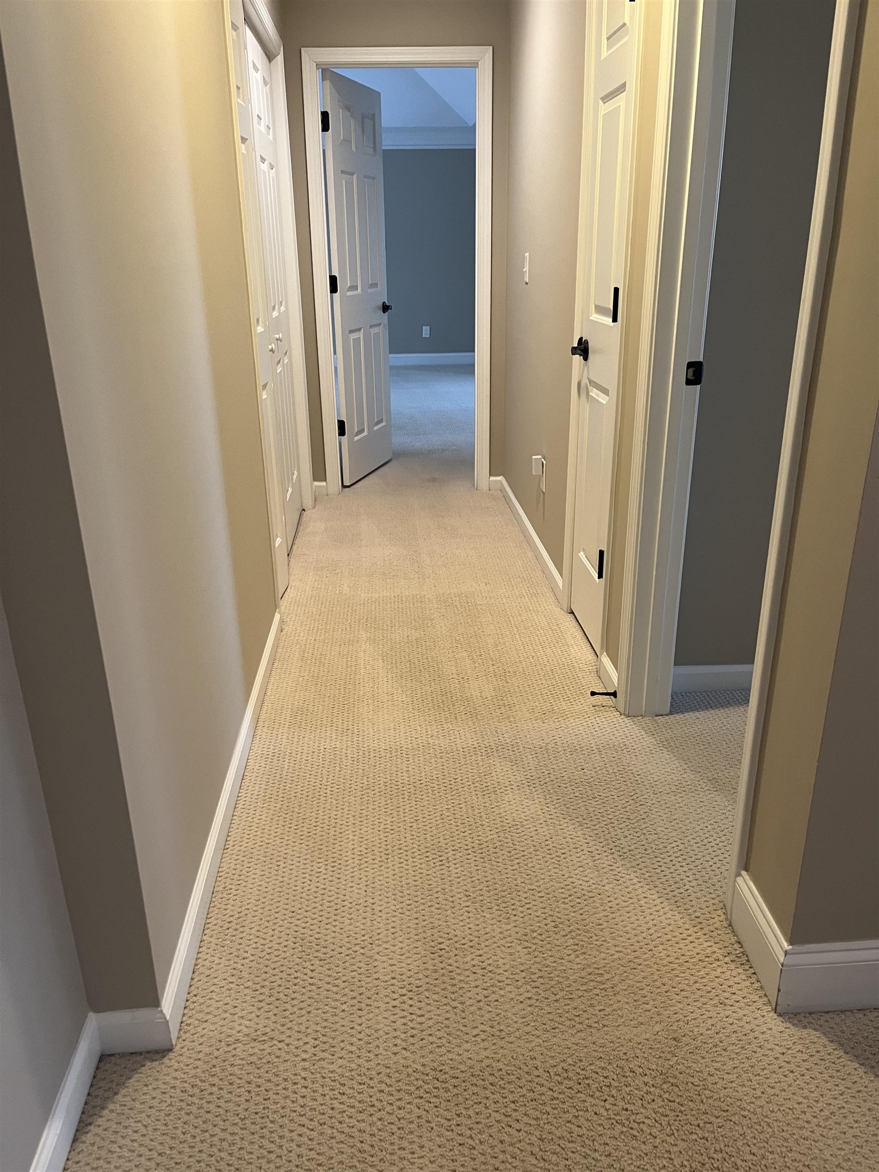 1211 CLUB COVE DRIVE image 27