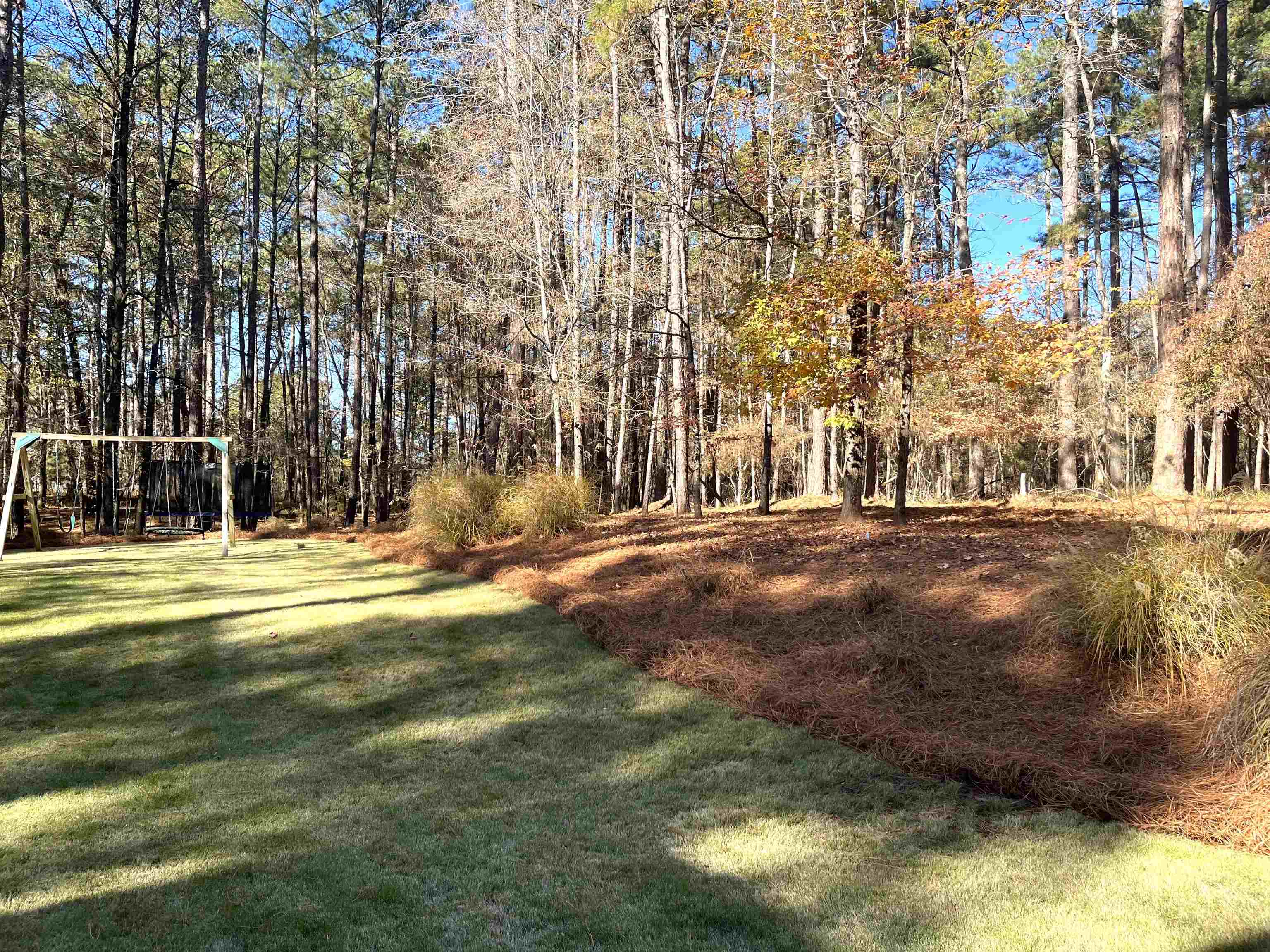 1211 CLUB COVE DRIVE image 29