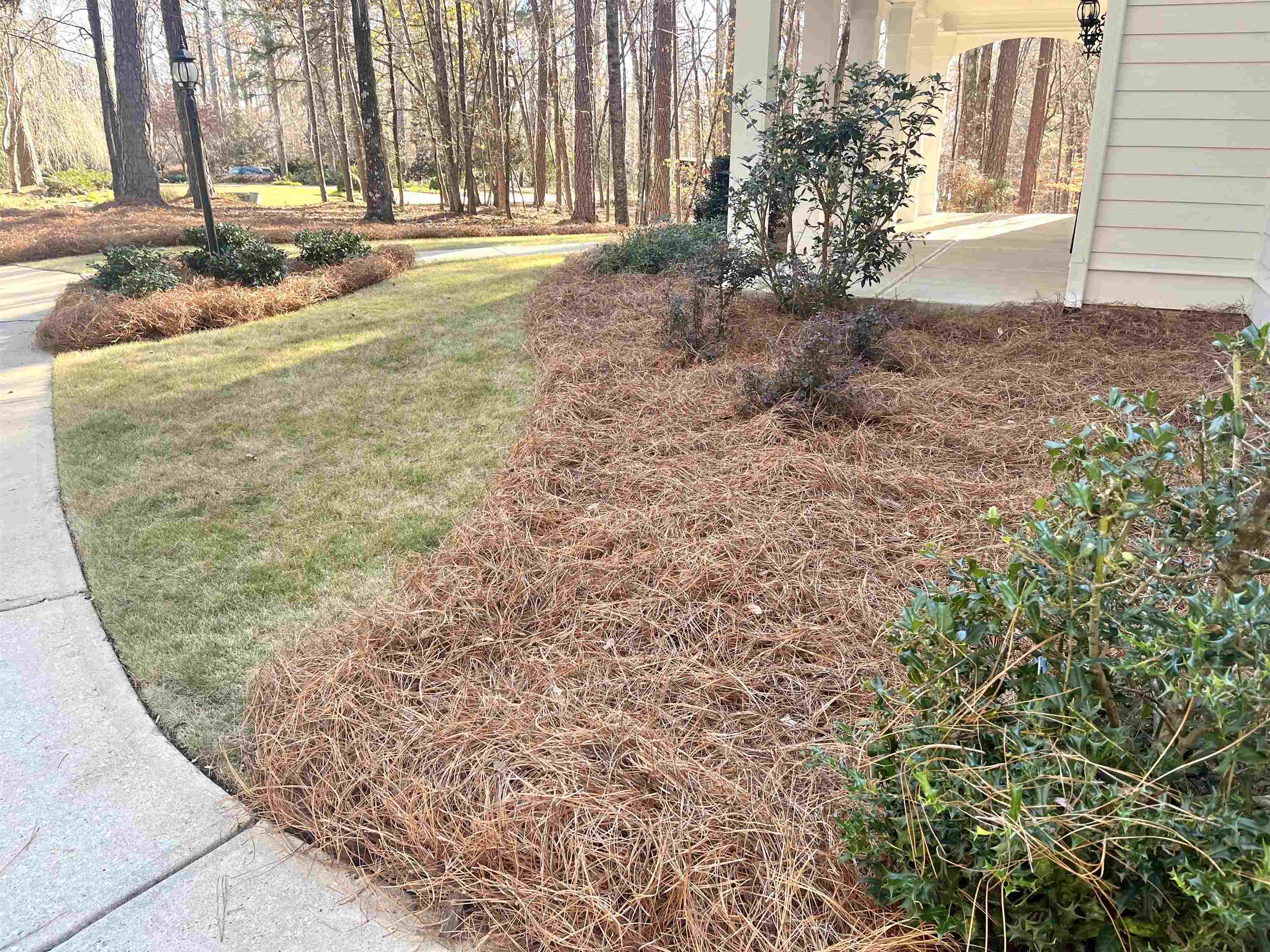 1211 CLUB COVE DRIVE image 31