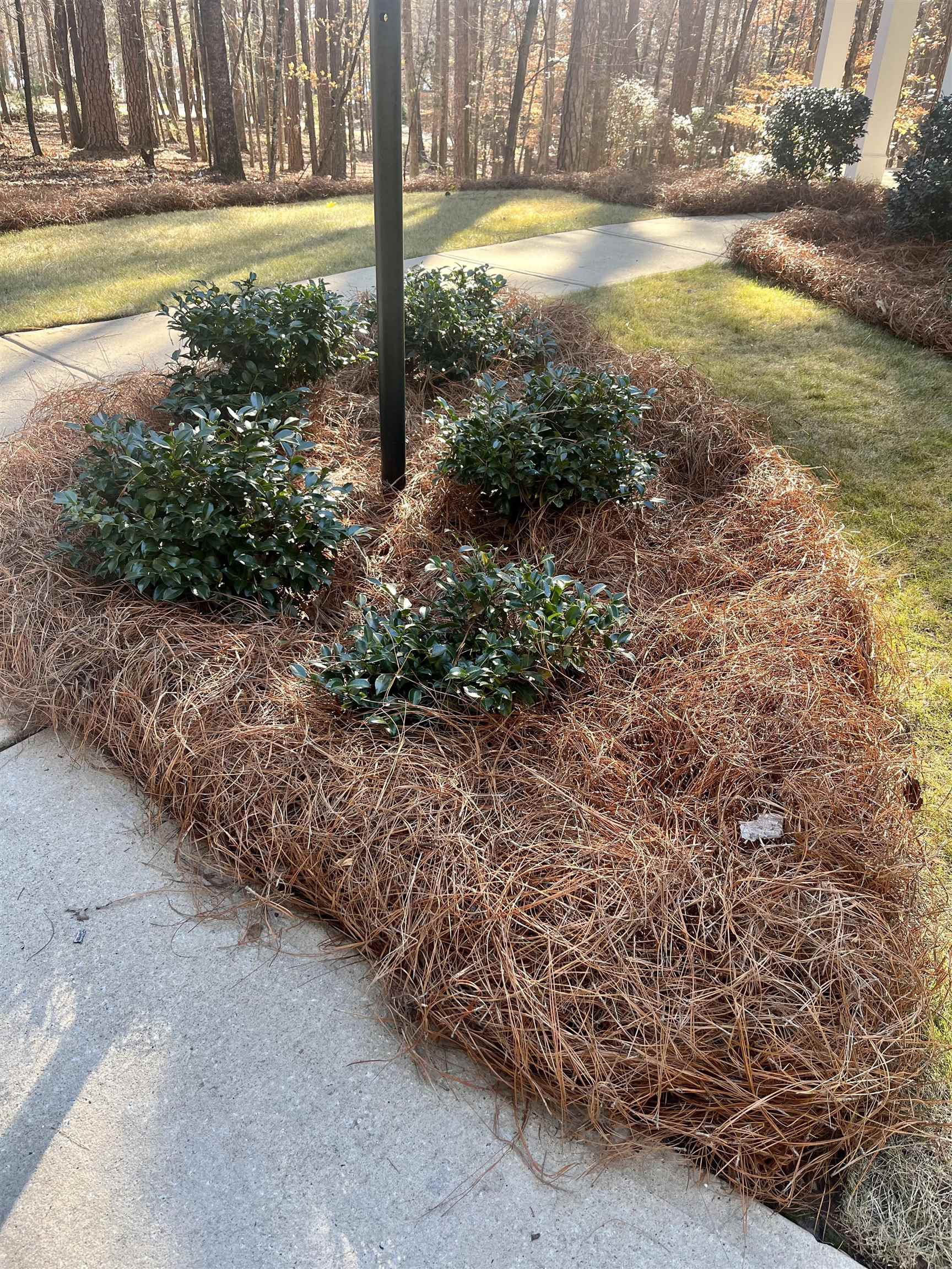 1211 CLUB COVE DRIVE image 33