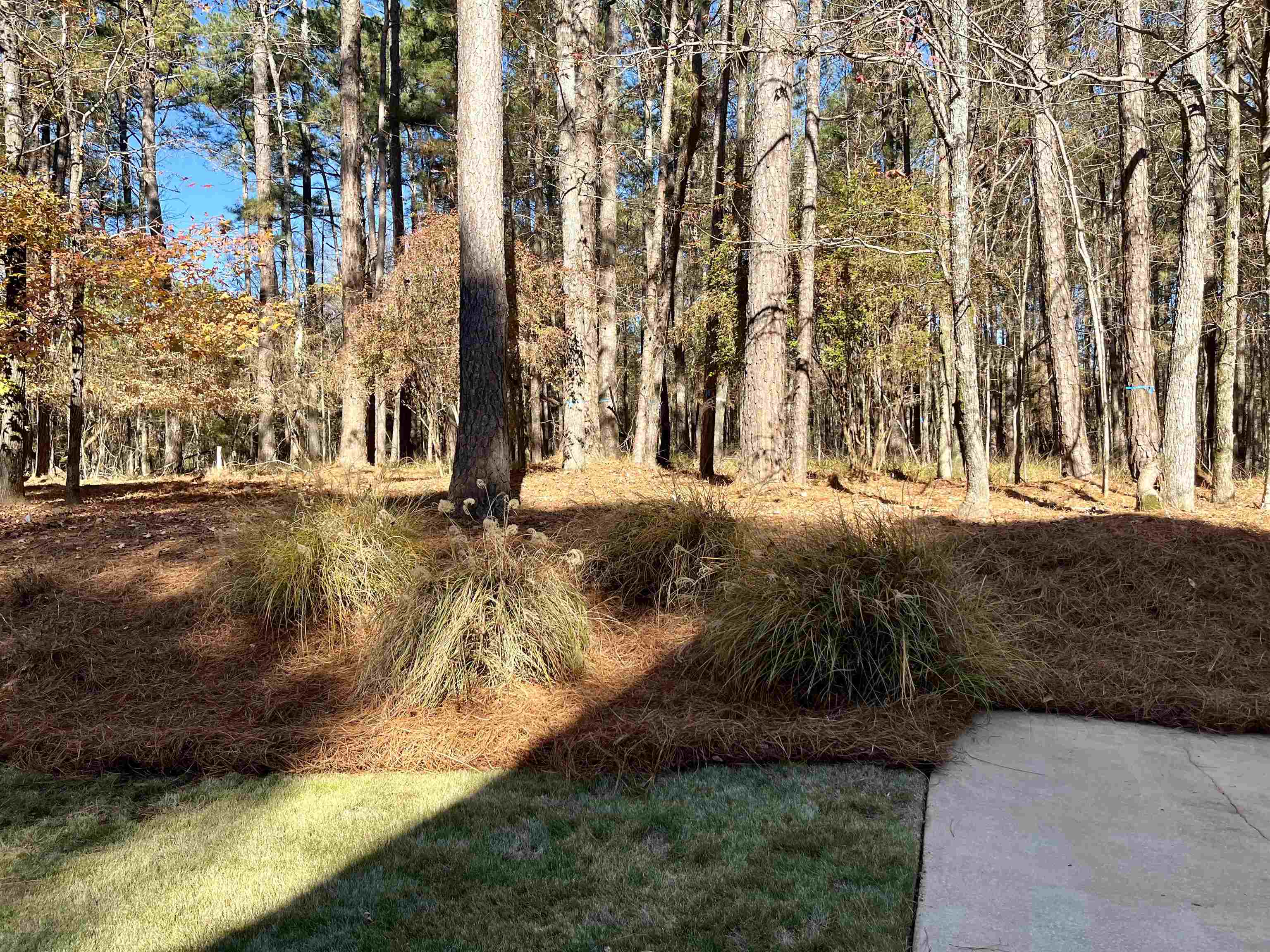 1211 CLUB COVE DRIVE image 35