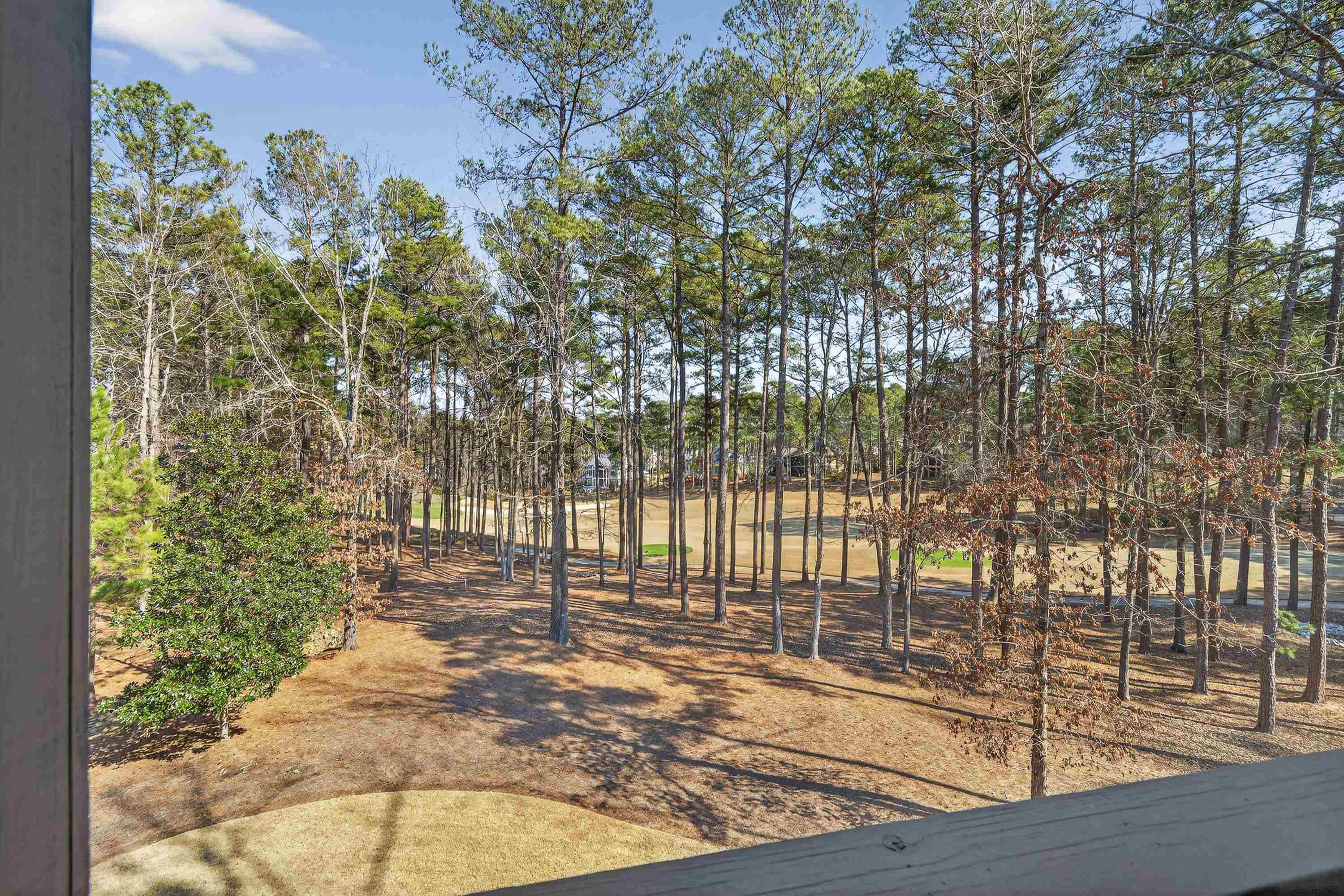 1021 SWIFT CREEK image 29