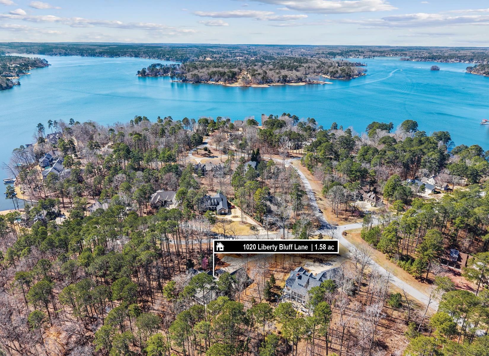 1020 LIBERTY BLUFF LANE image 2