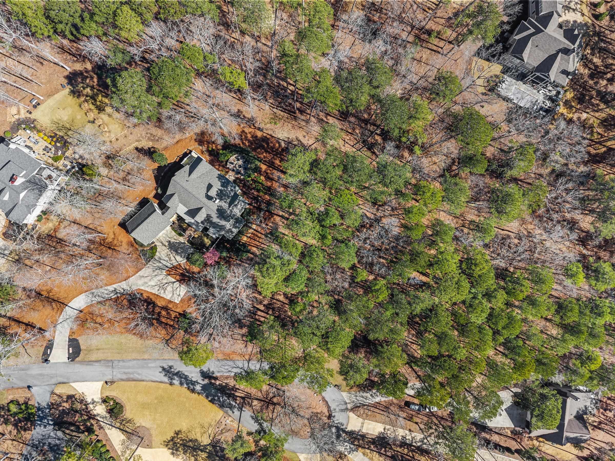 1020 LIBERTY BLUFF LANE image 63