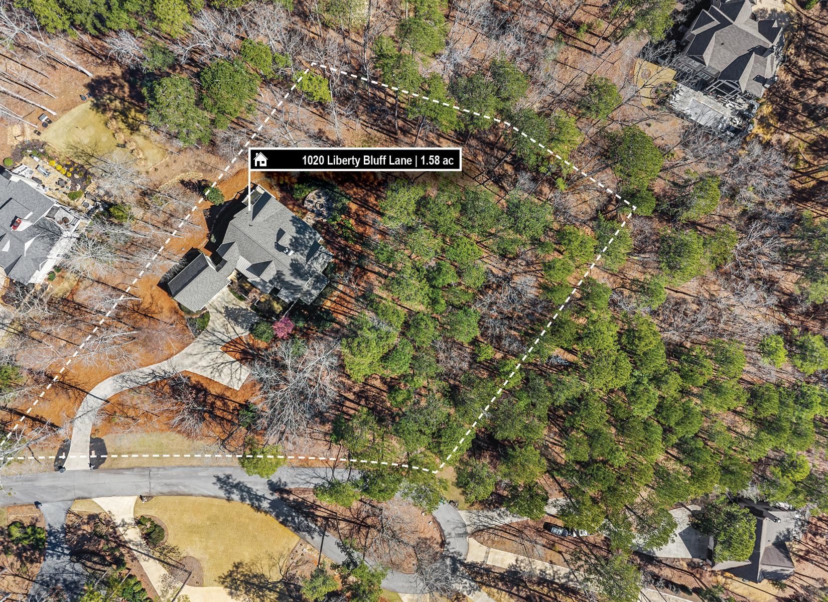 1020 LIBERTY BLUFF LANE image 73