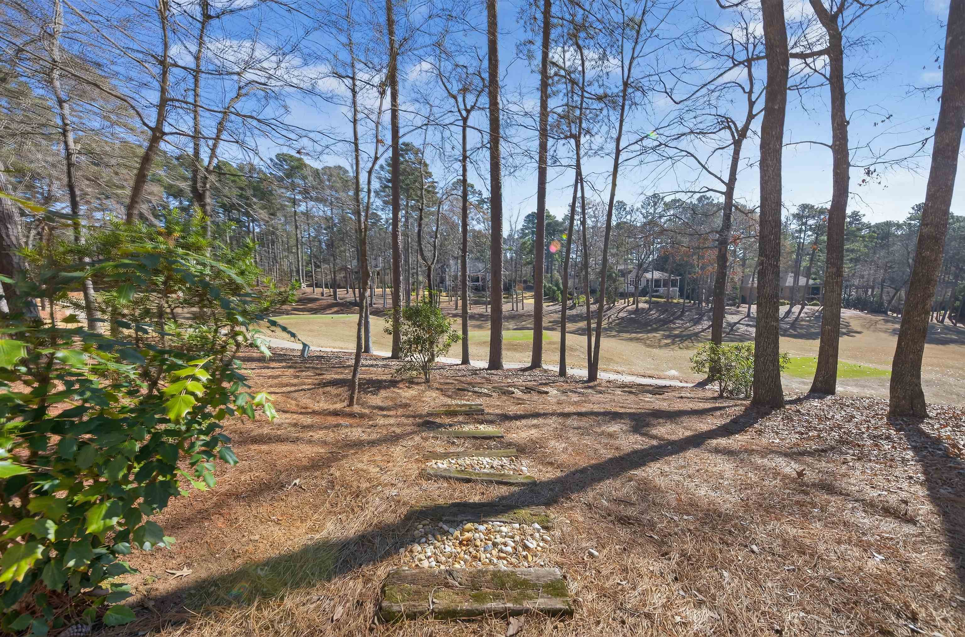 1020 KIMBROUGH HILL LANE image 51