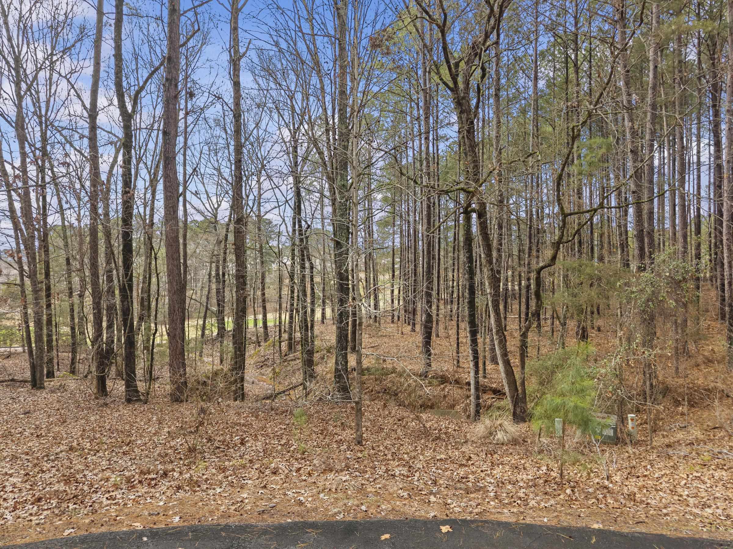 1031 Anchor Bay Point image 23