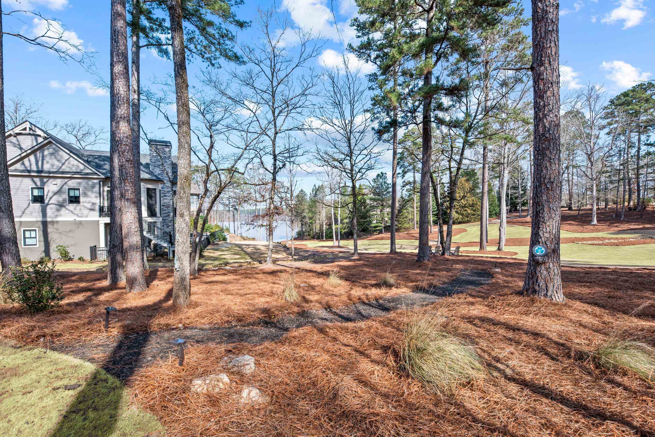 1041 TUGGLE CREEK image 9