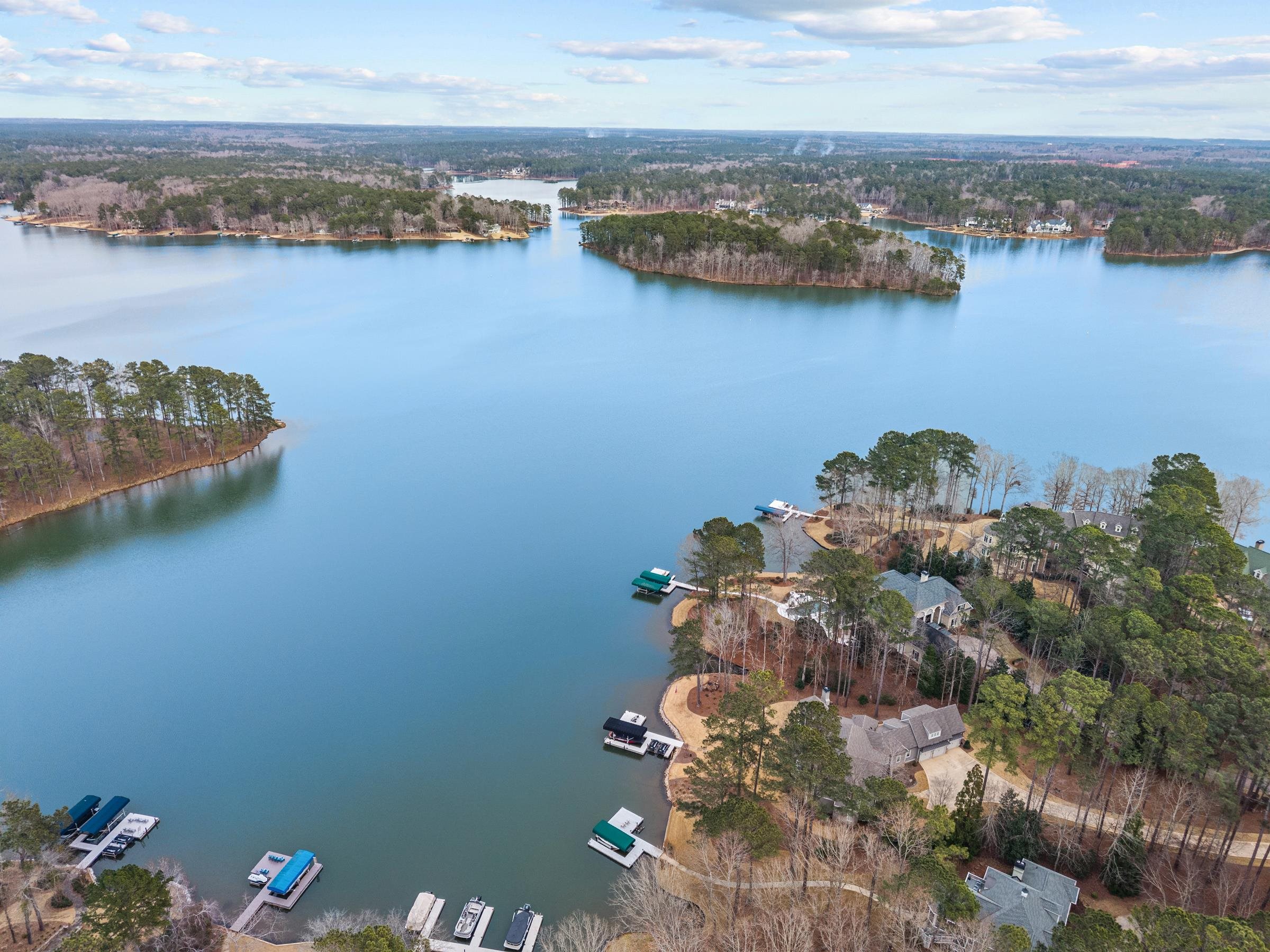 1070 PROSPERITY POINTE image 56