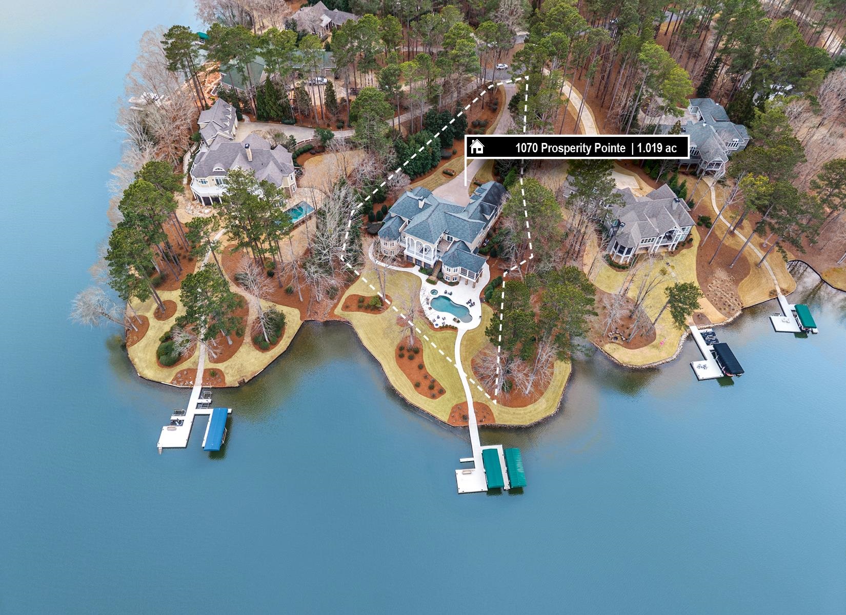 1070 PROSPERITY POINTE image 9