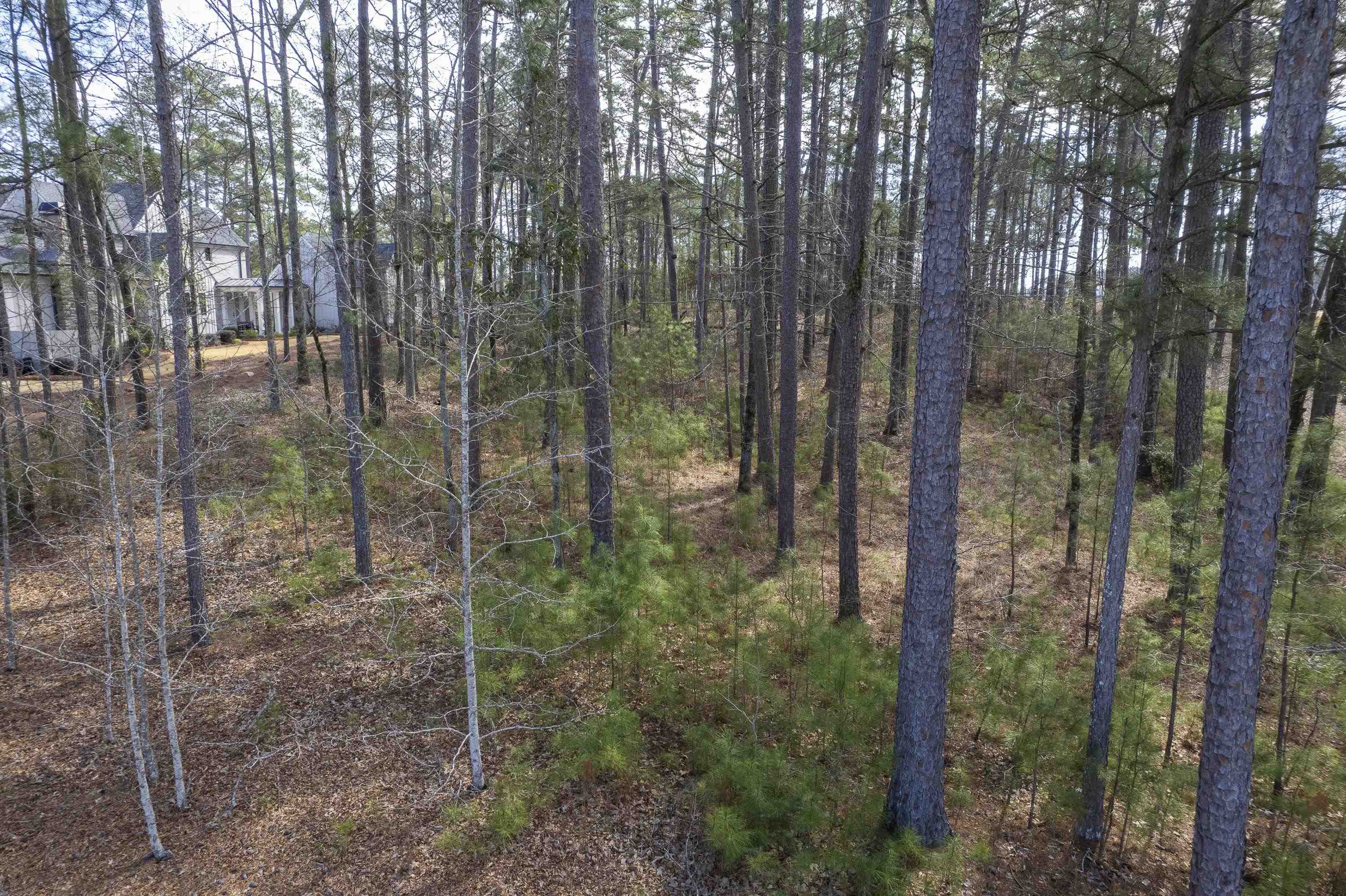 1241 Linger Longer Drive image 15