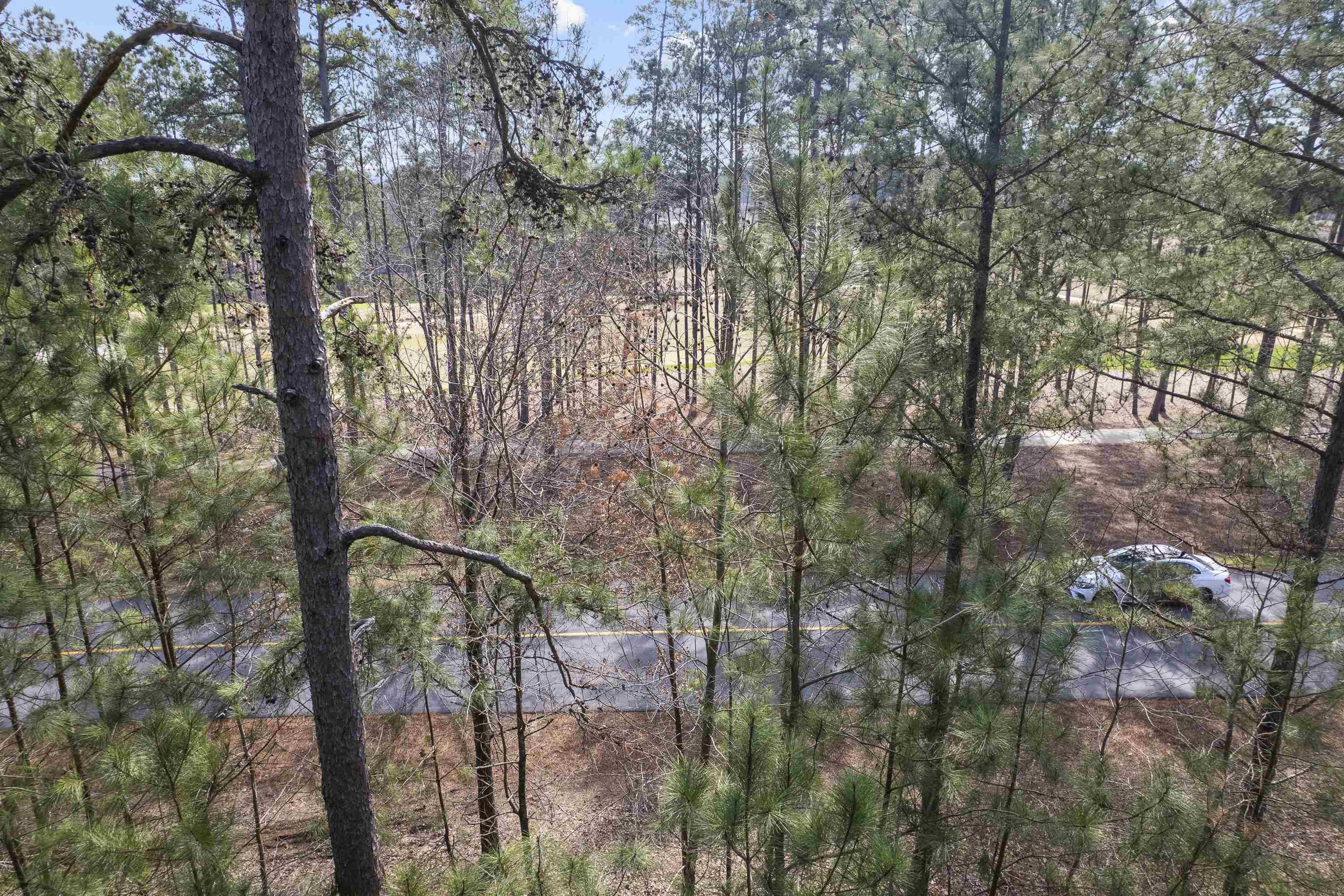 1241 Linger Longer Drive image 16