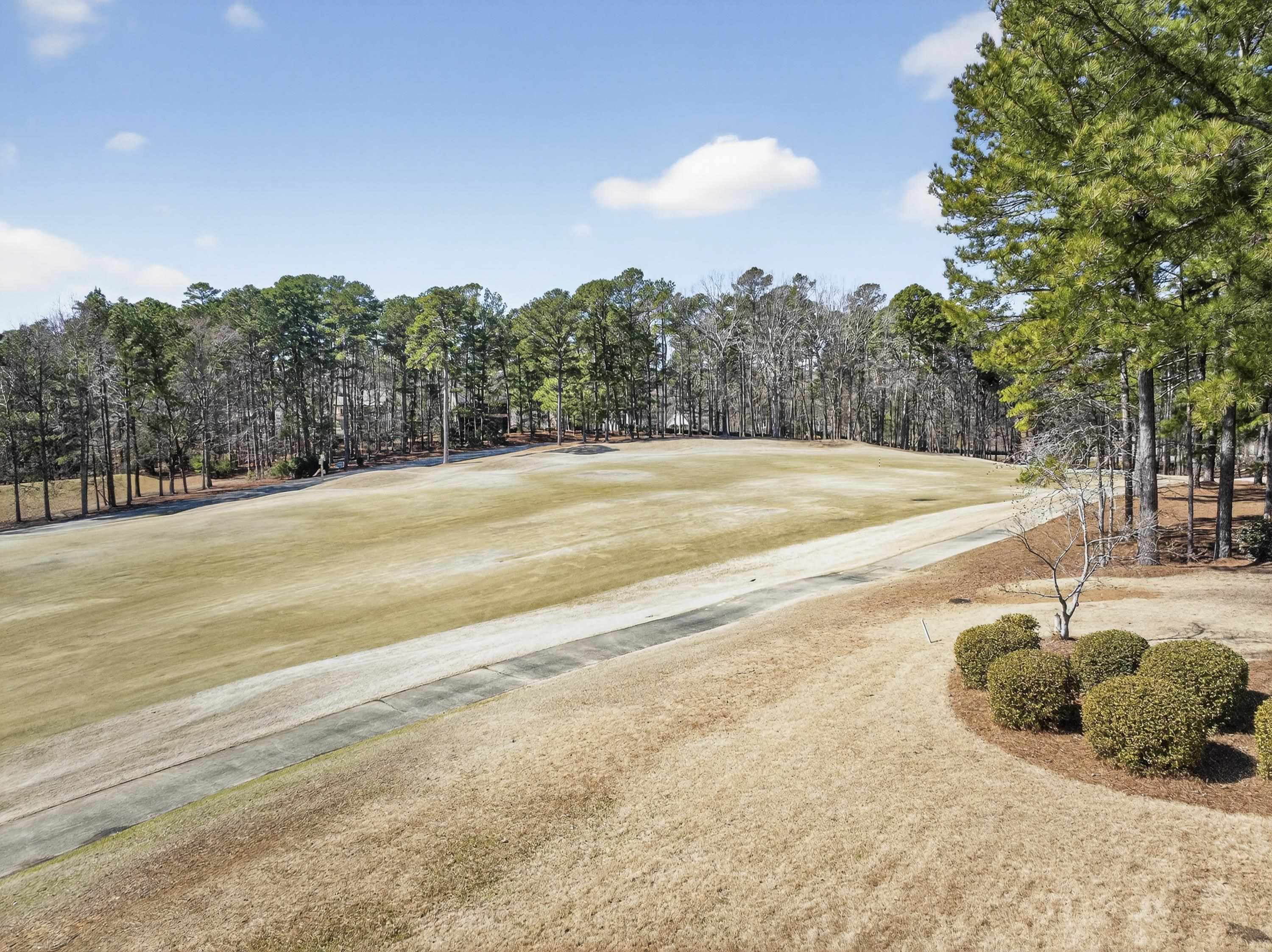 1061 KIMBROUGH HILL DRIVE image 5