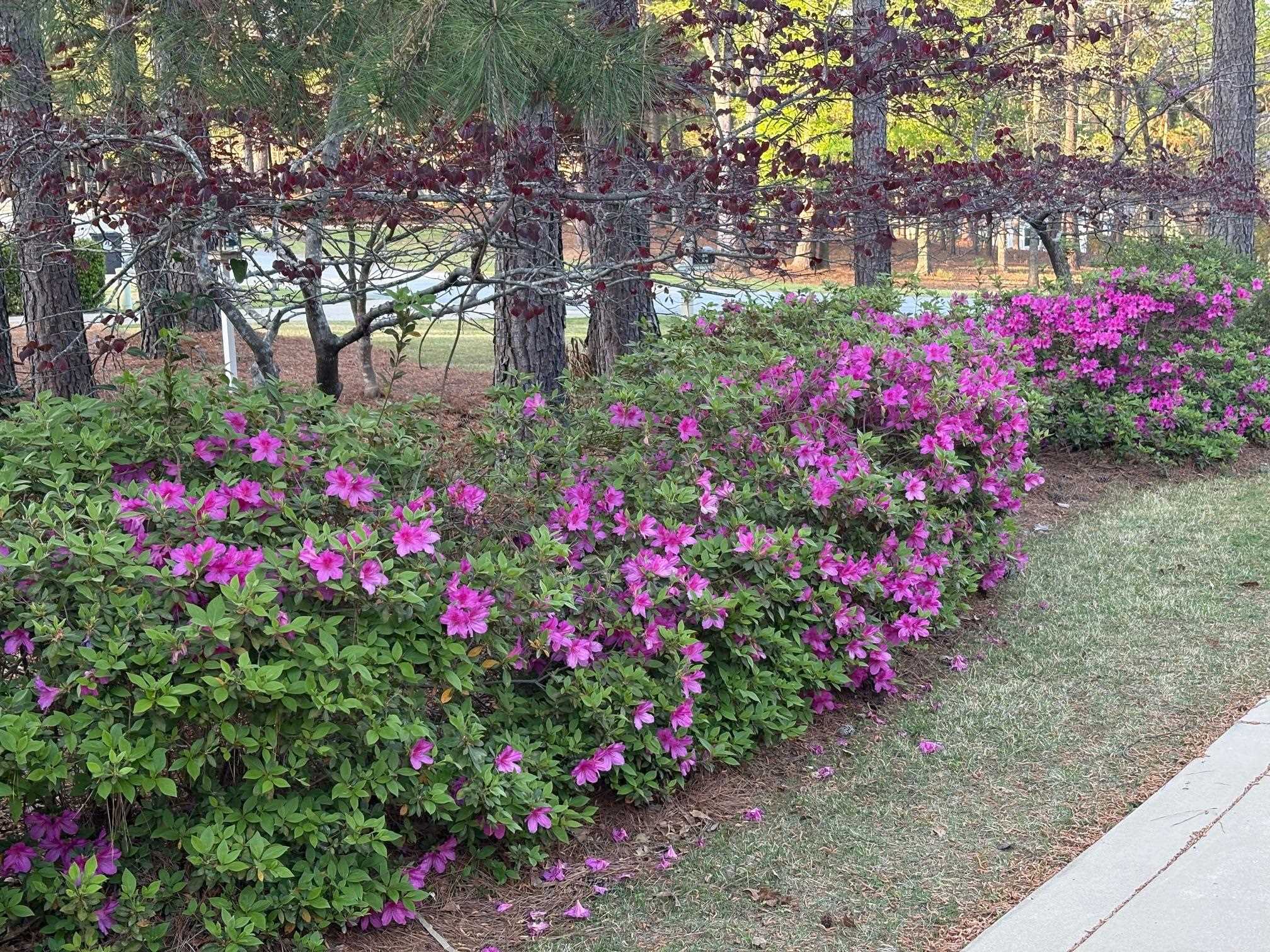 1061 KIMBROUGH HILL DRIVE image 6