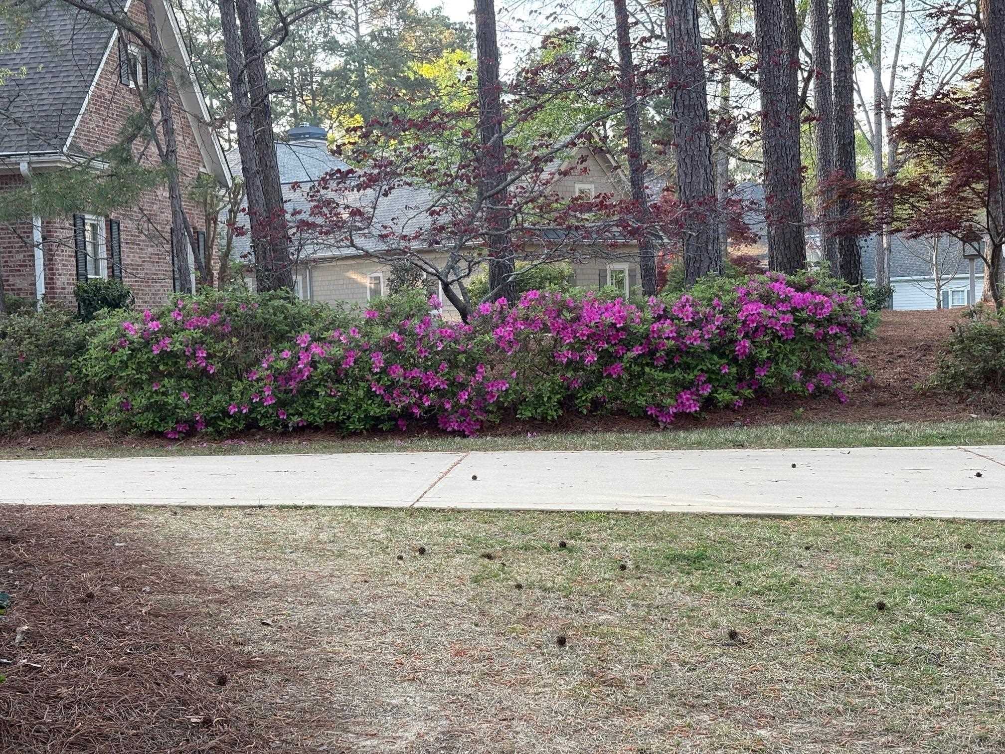 1061 KIMBROUGH HILL DRIVE image 73