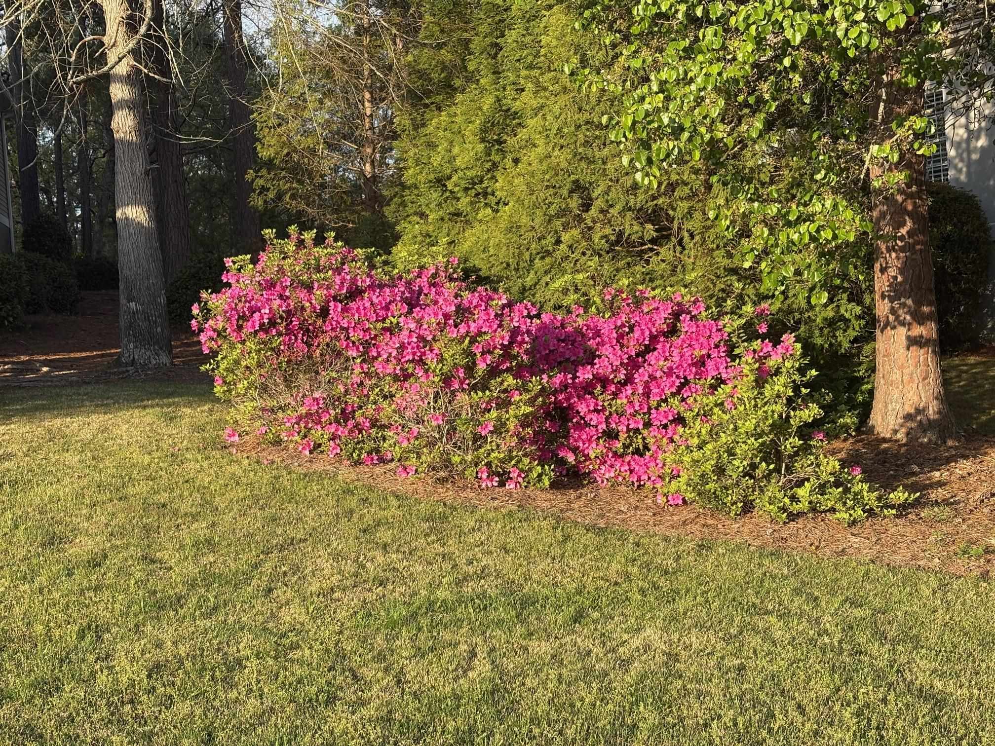 1061 KIMBROUGH HILL DRIVE image 75