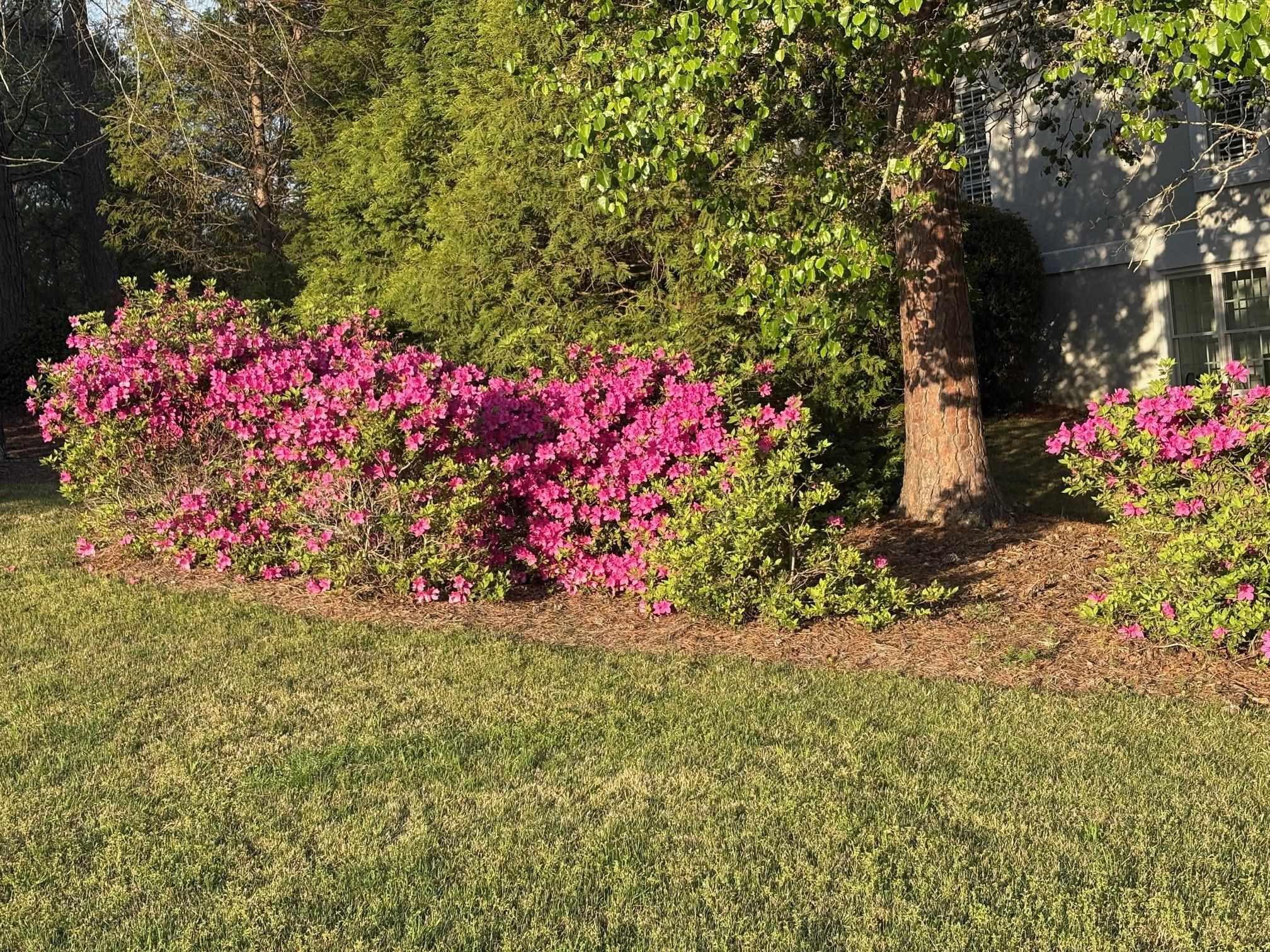 1061 KIMBROUGH HILL DRIVE image 10