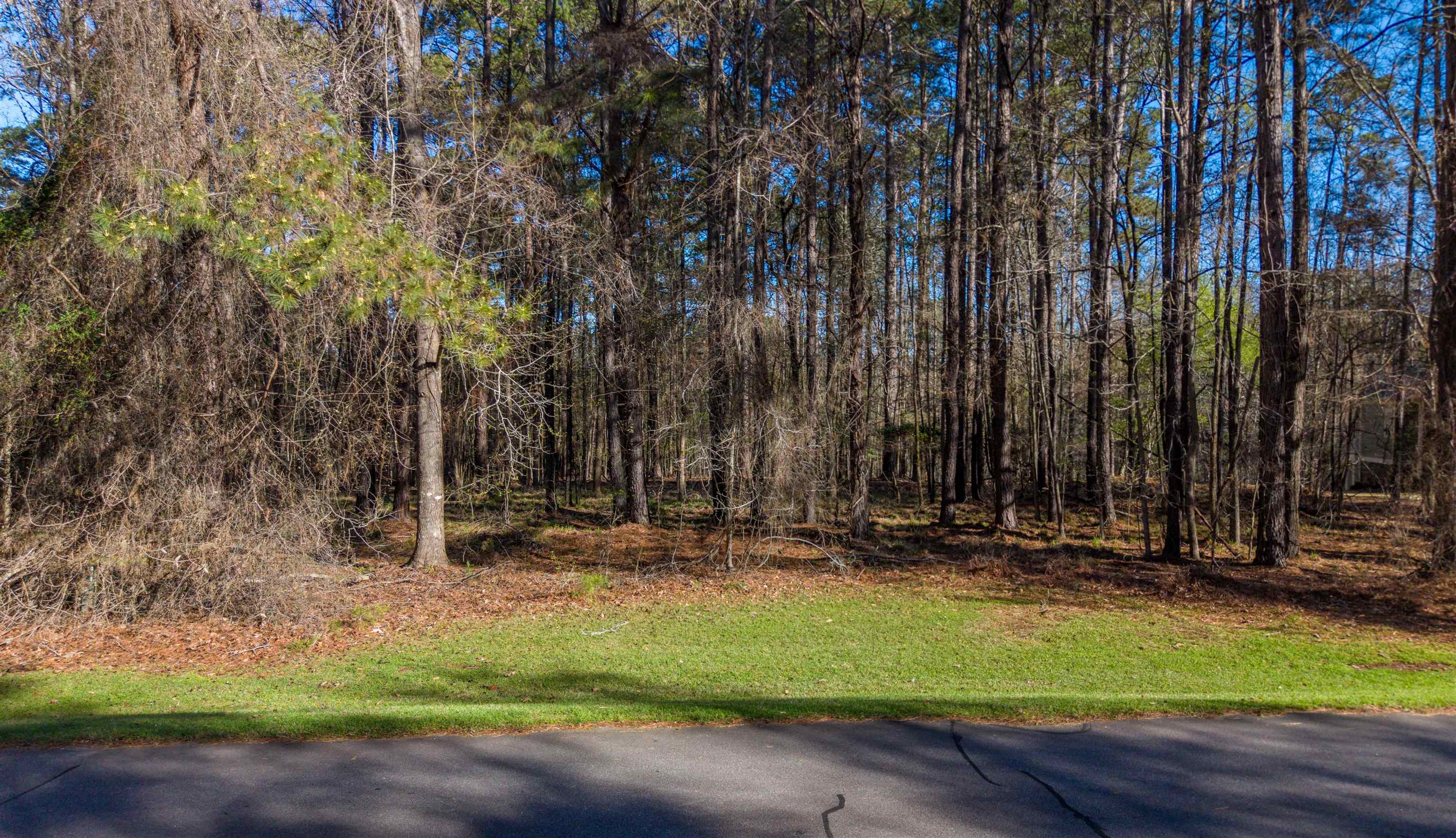 1760 Snug Harbor Drive image 11