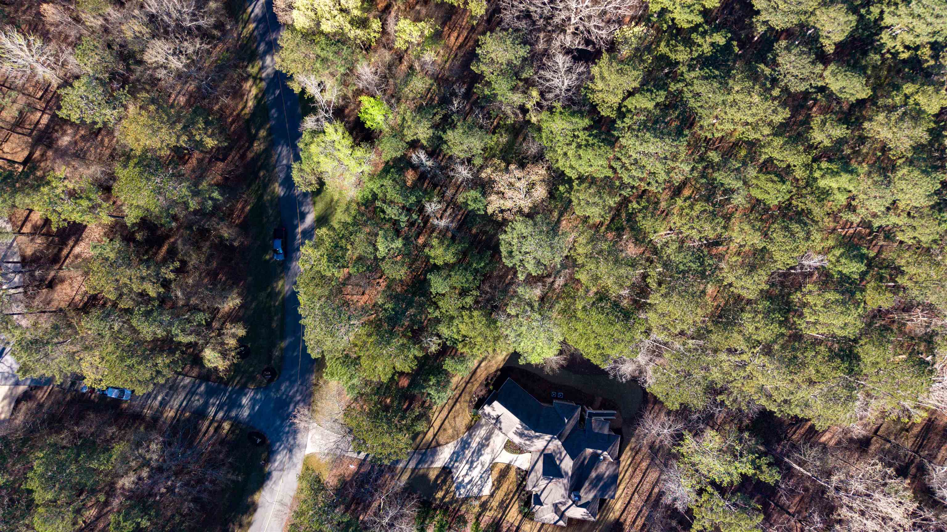 1760 Snug Harbor Drive image 14