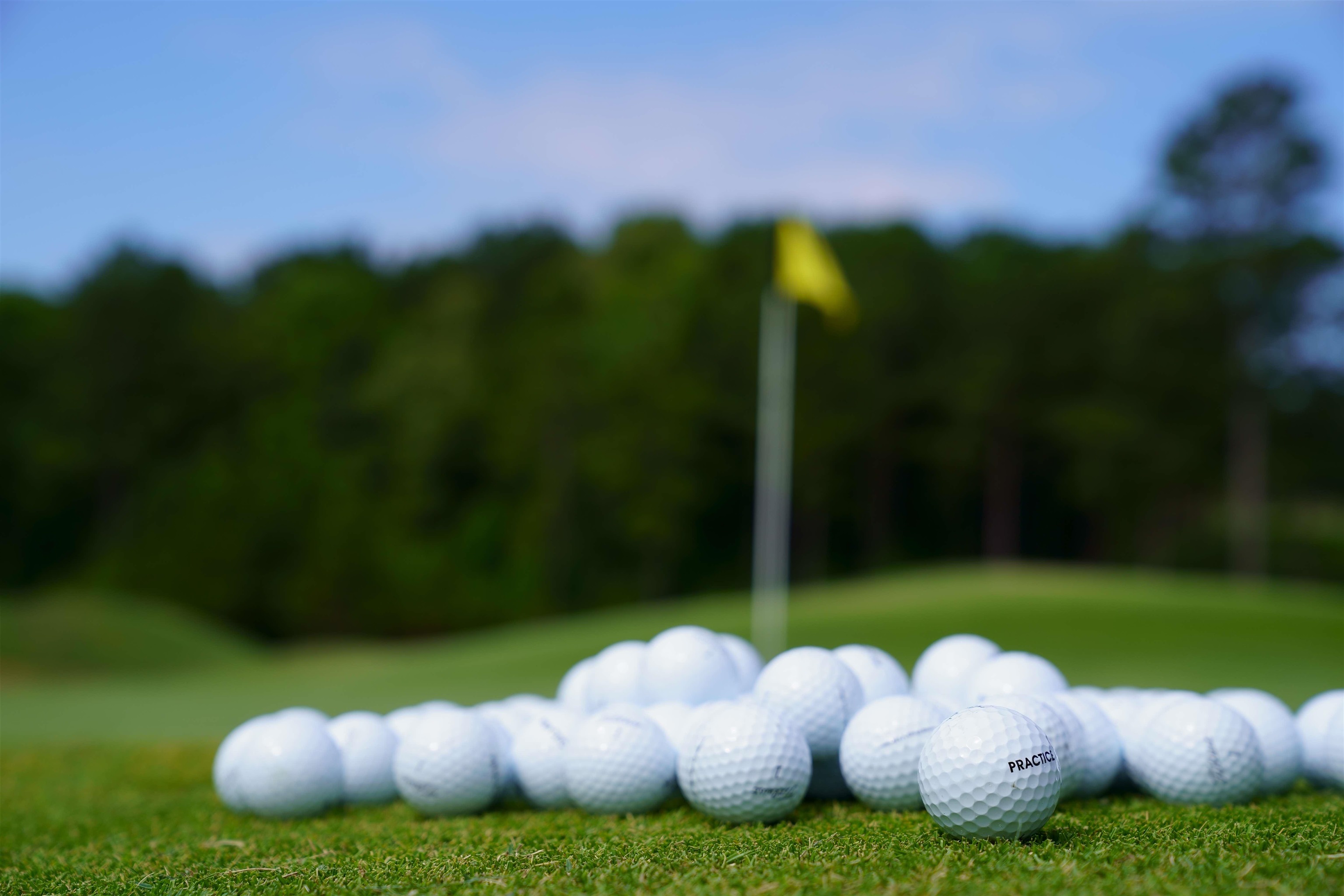 1760 Snug Harbor Drive image 29