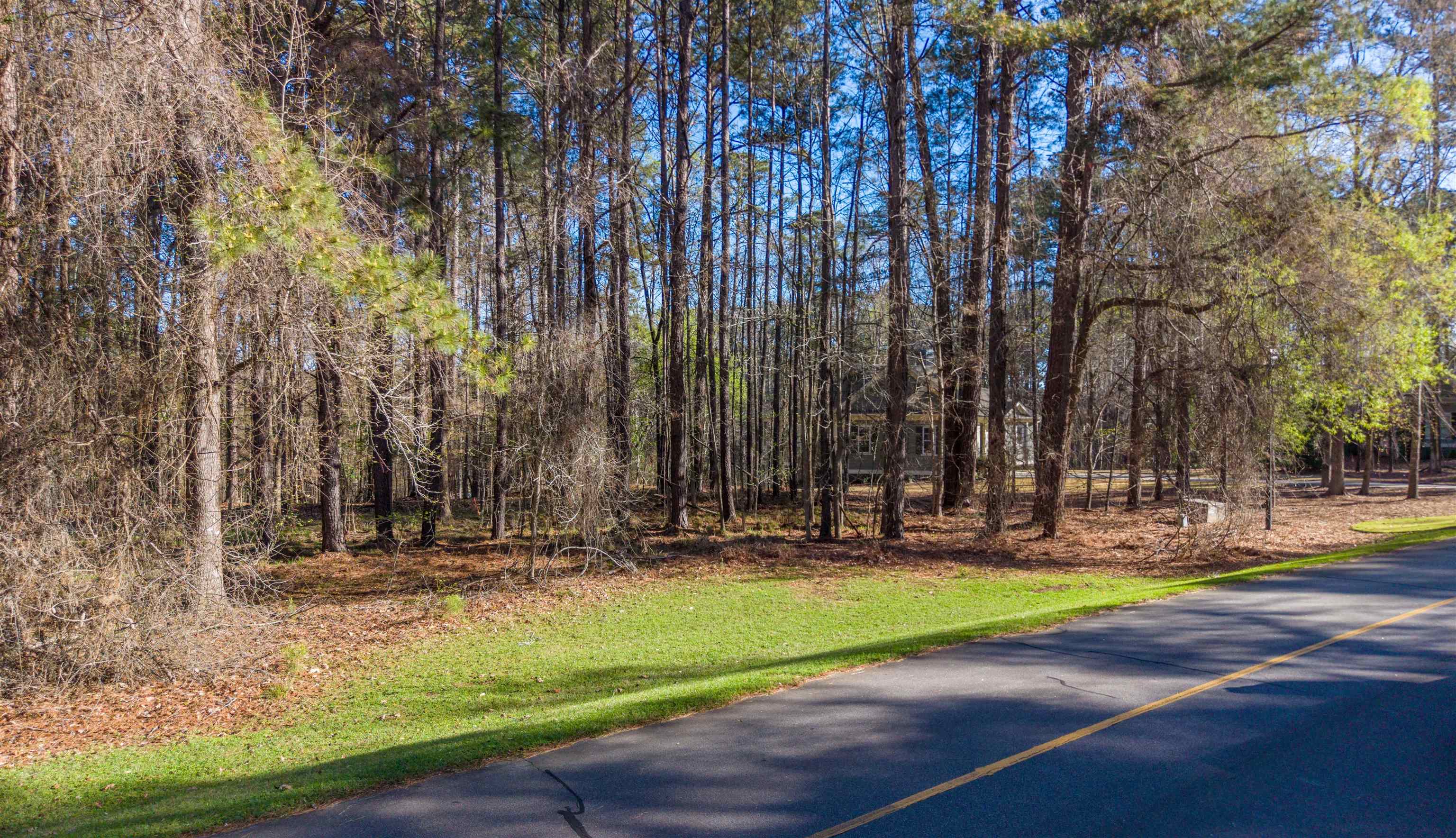 1760 Snug Harbor Drive image 4