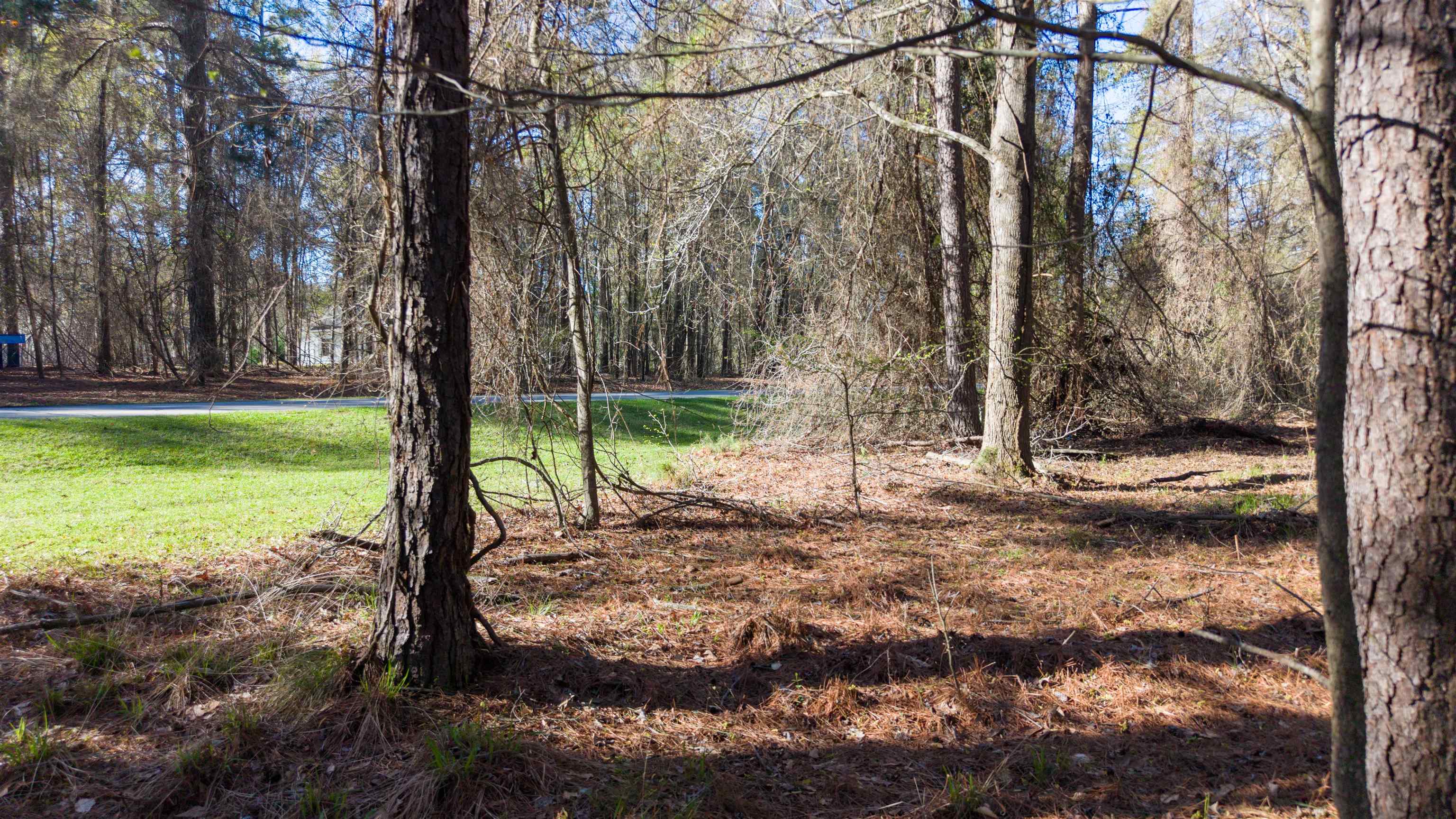 1760 Snug Harbor Drive image 5