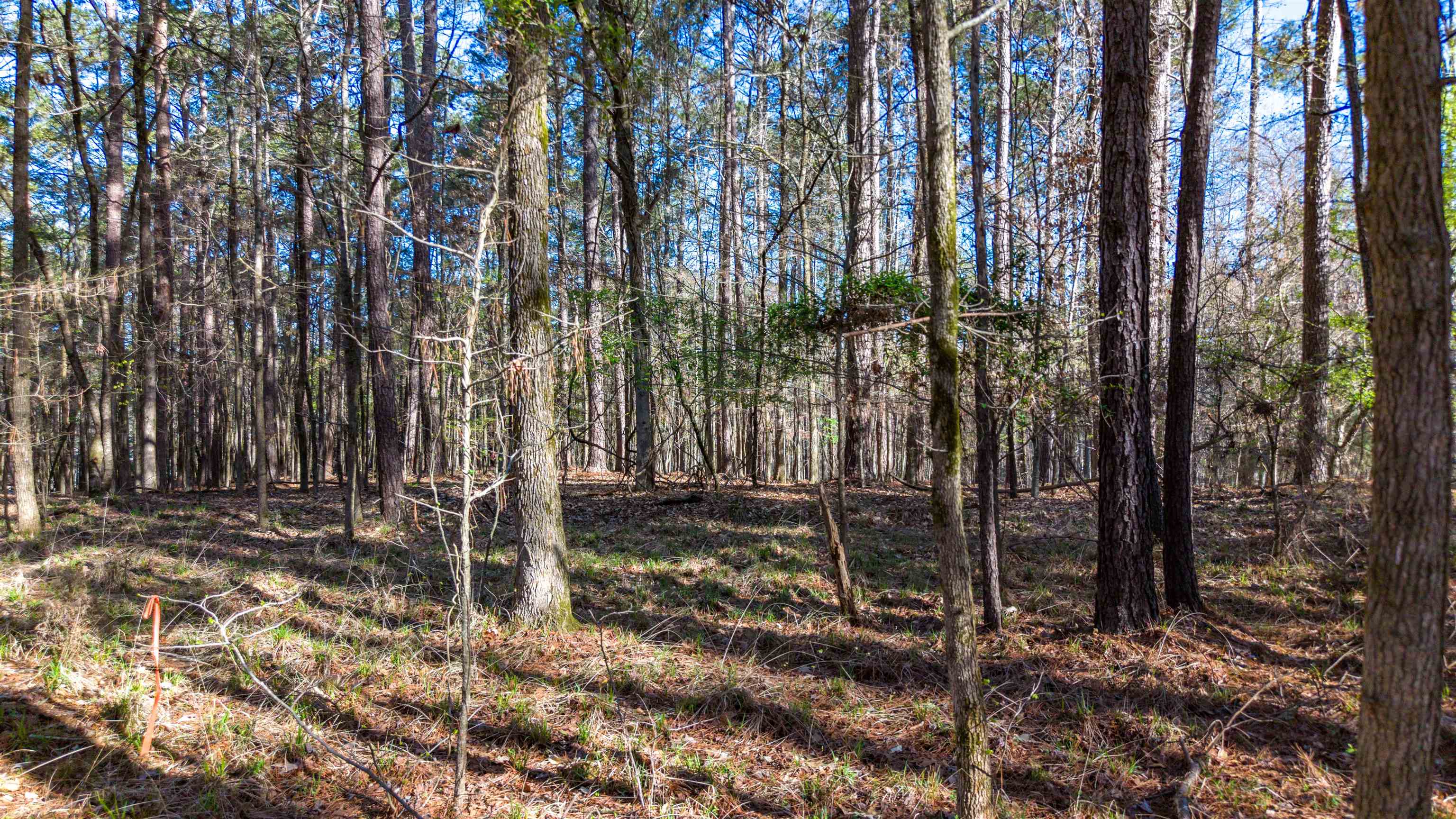 1760 Snug Harbor Drive image 7