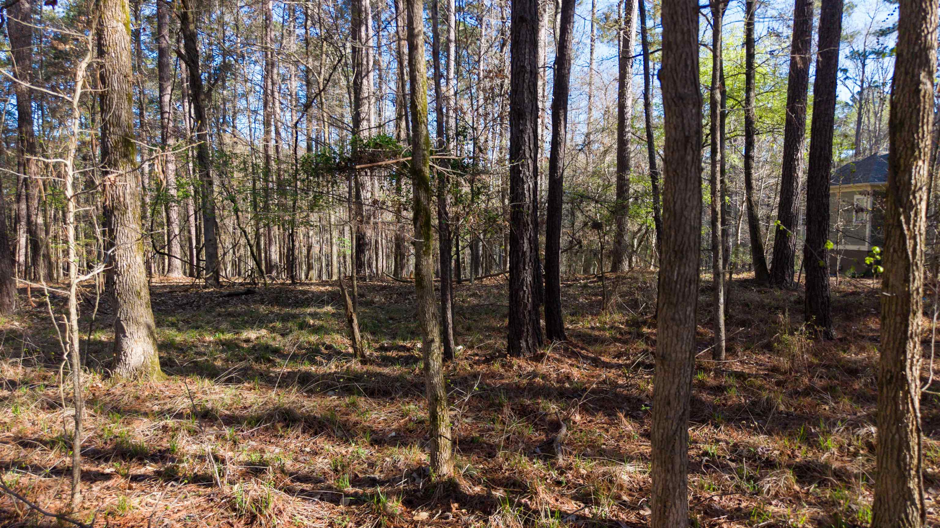 1760 Snug Harbor Drive image 8