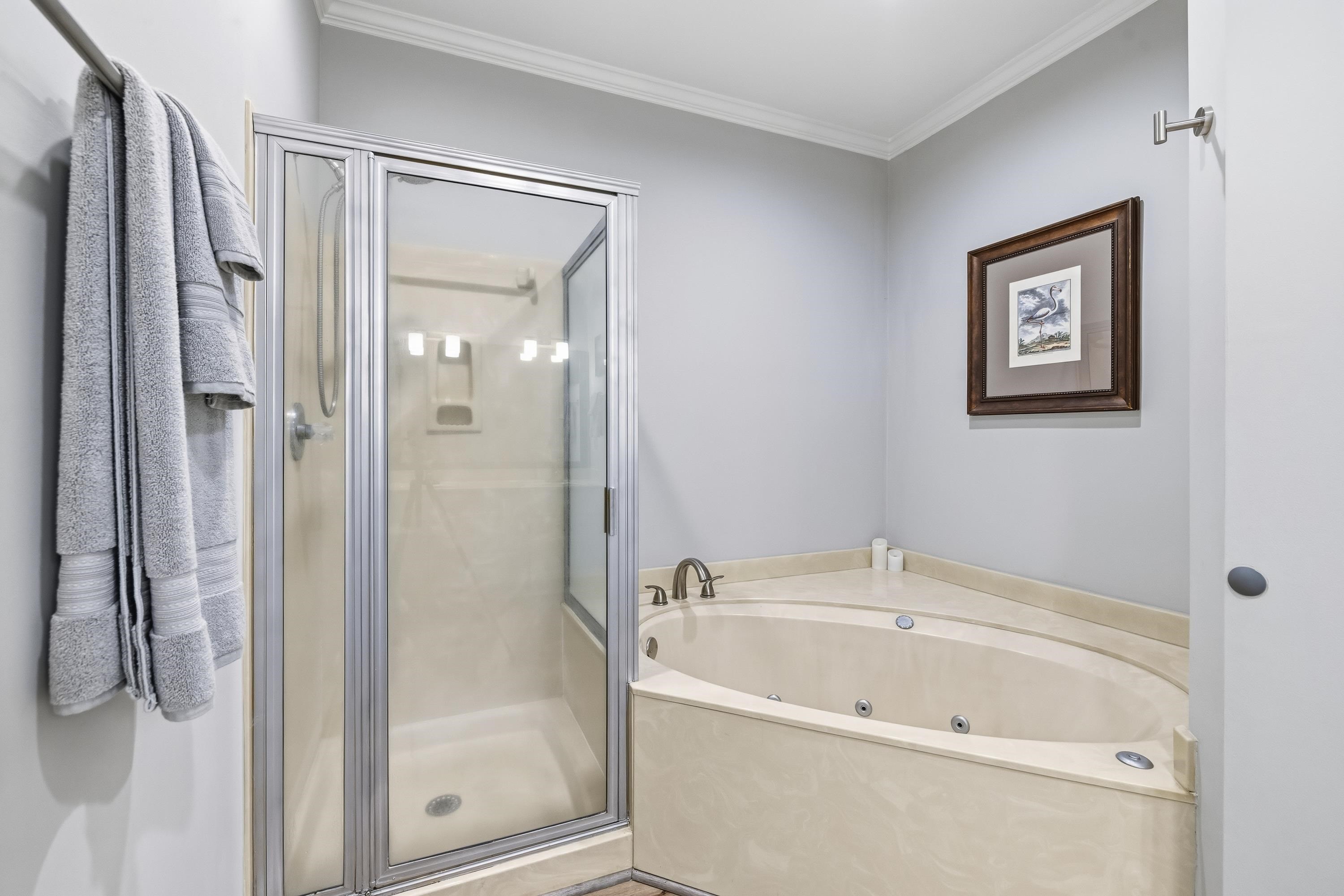 208 BEECH HAVEN LANE image 20