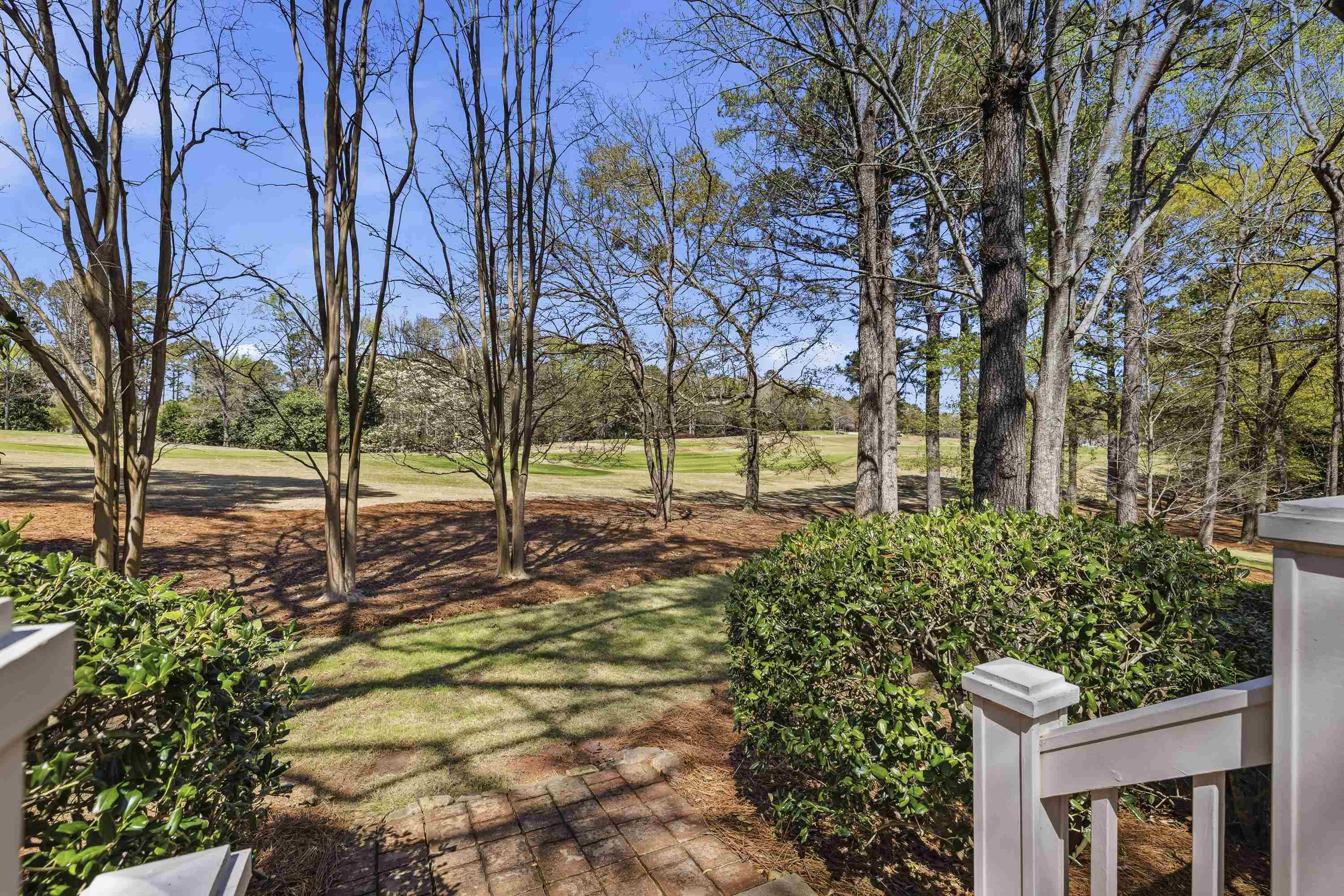 208 BEECH HAVEN LANE image 8