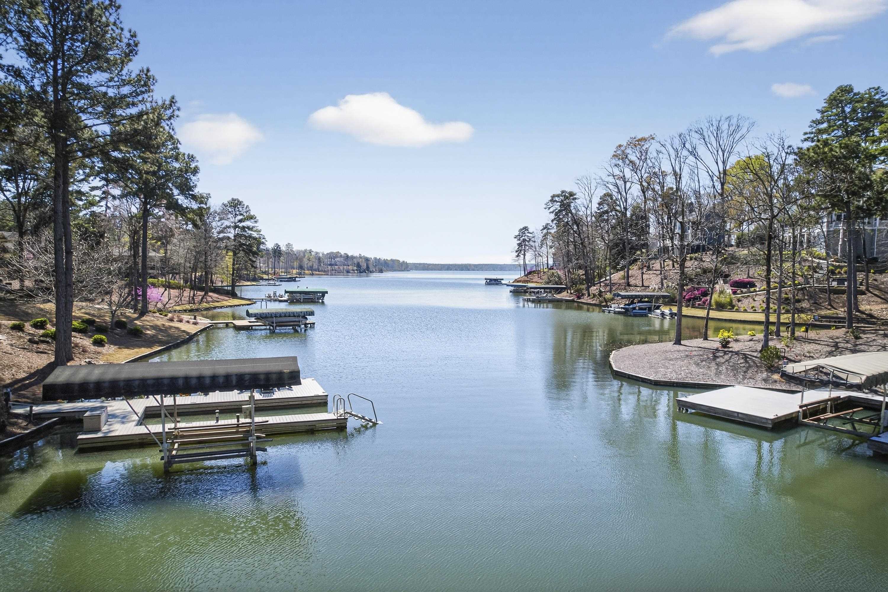 1090 JONES BLUFF COURT image 3