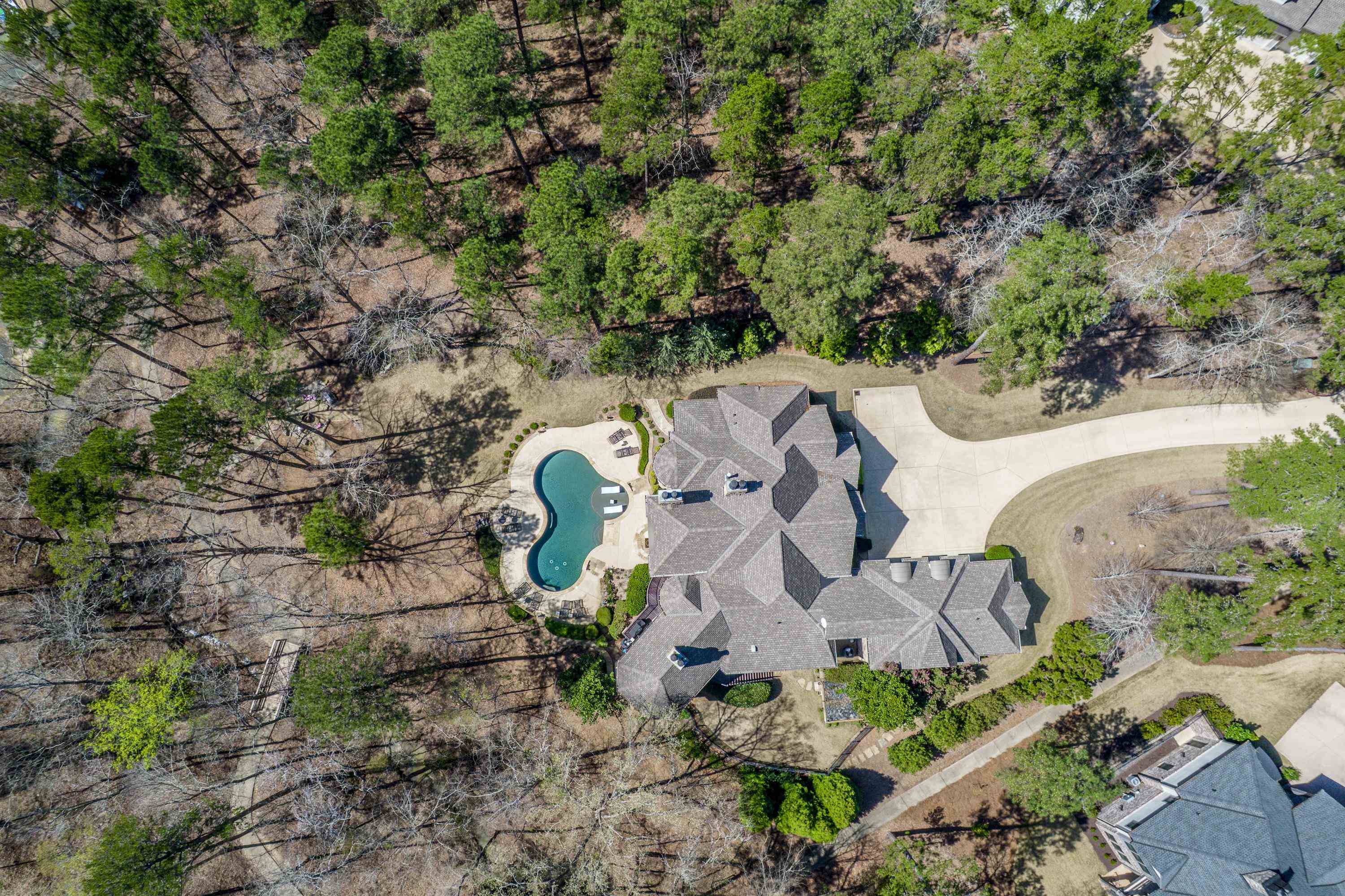 1090 JONES BLUFF COURT image 4