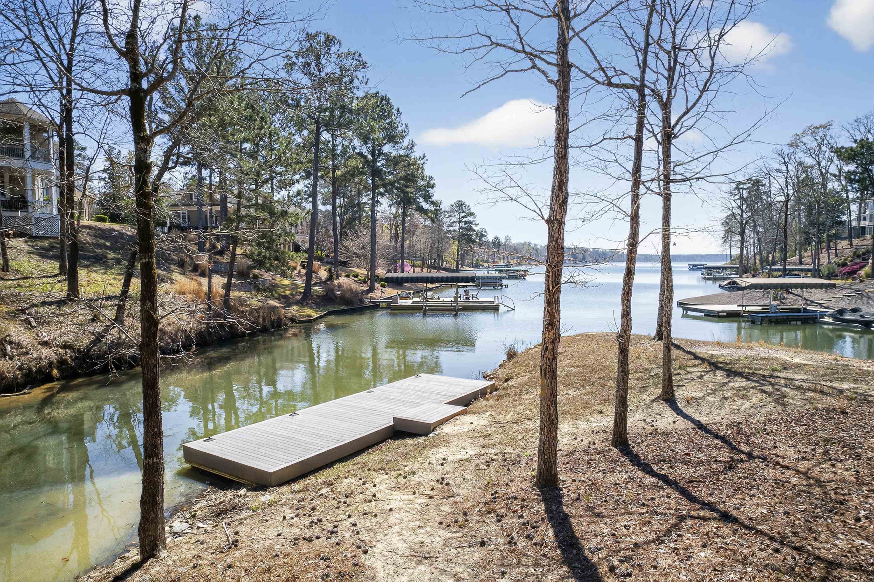 1090 JONES BLUFF COURT image 32