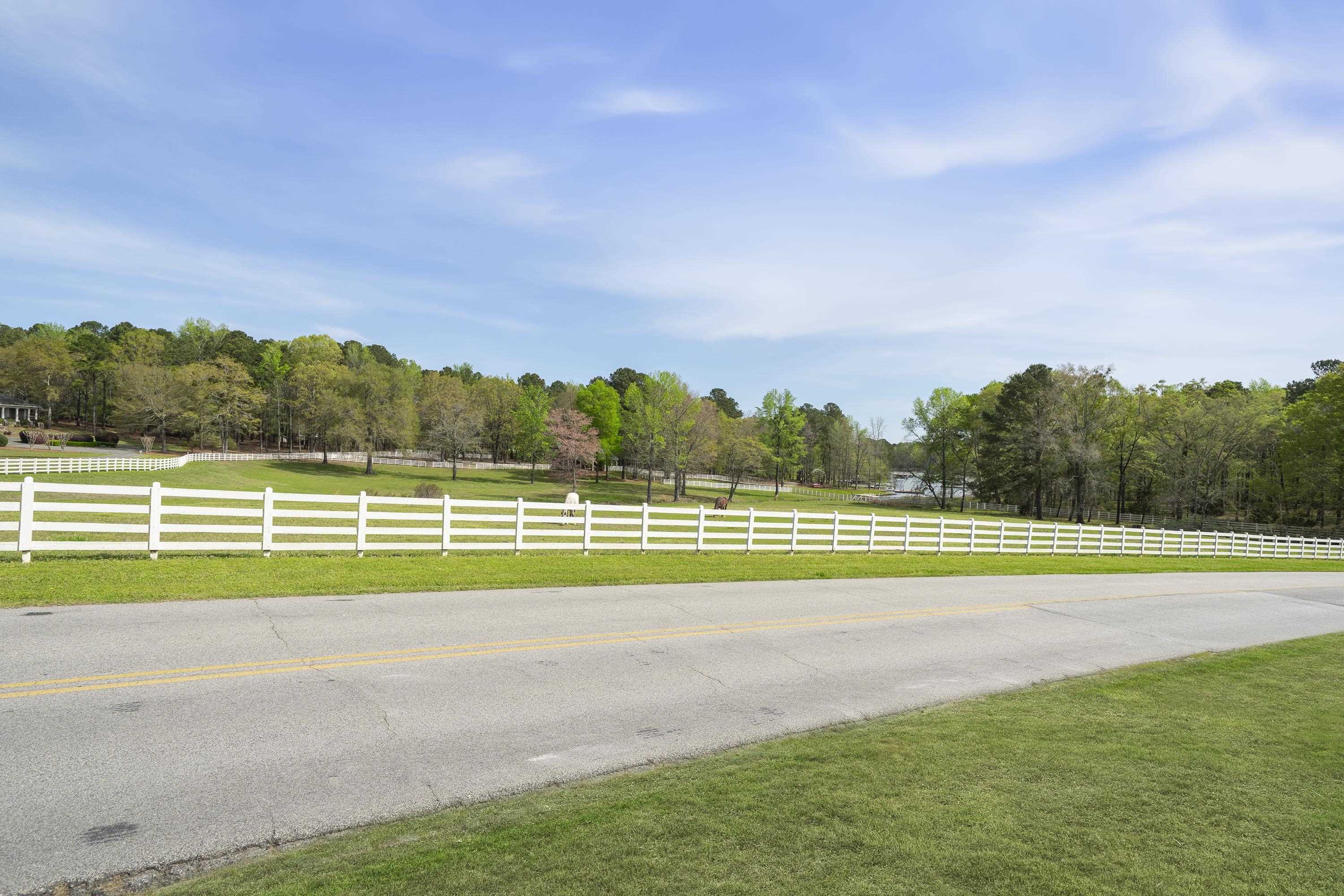 164 Reynolds Drive image 2