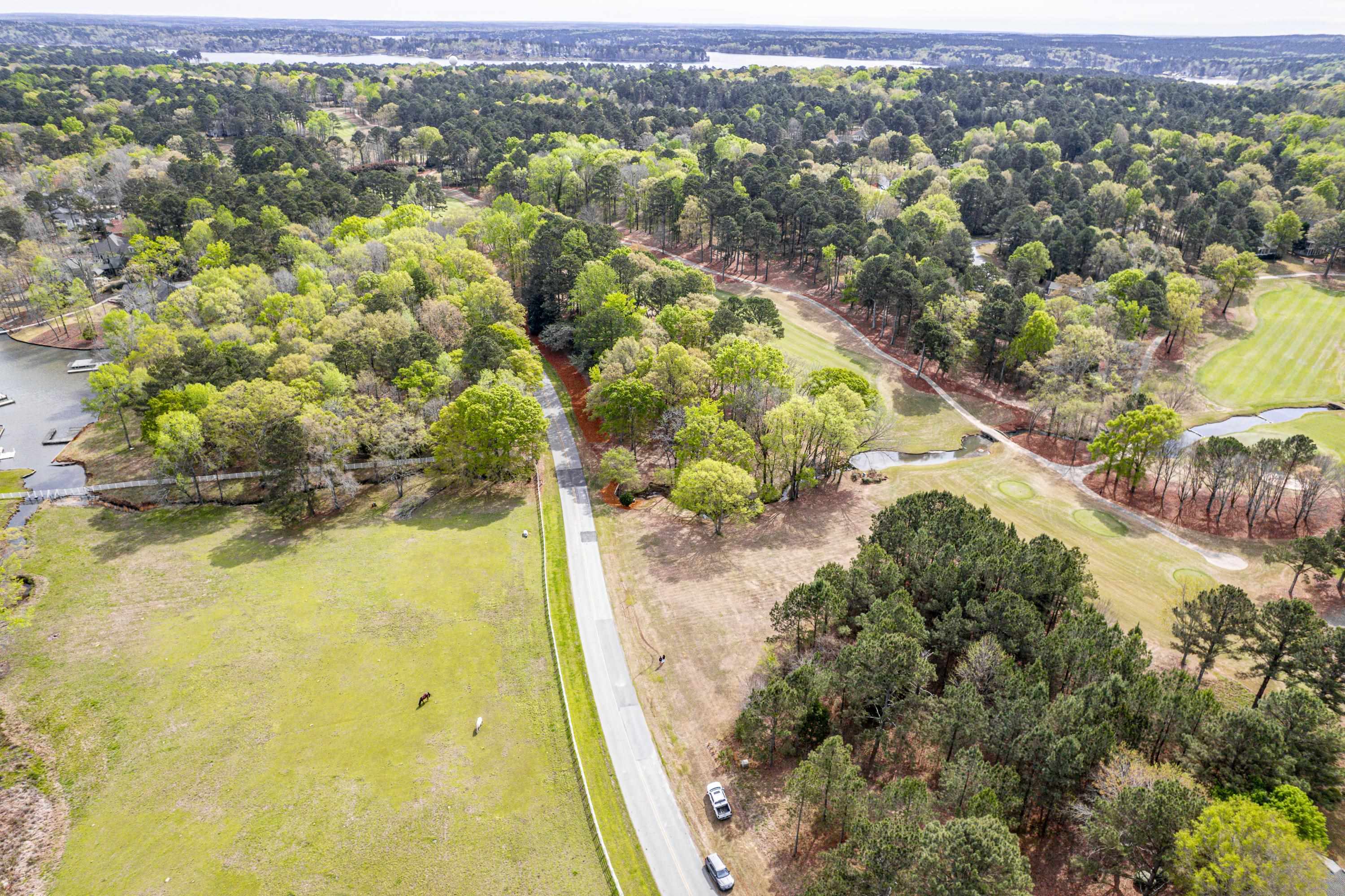 164 Reynolds Drive image 12