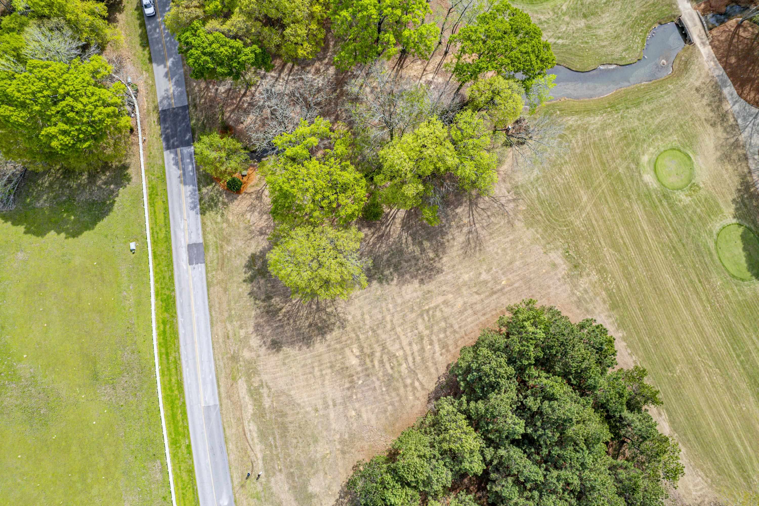 164 Reynolds Drive image 15