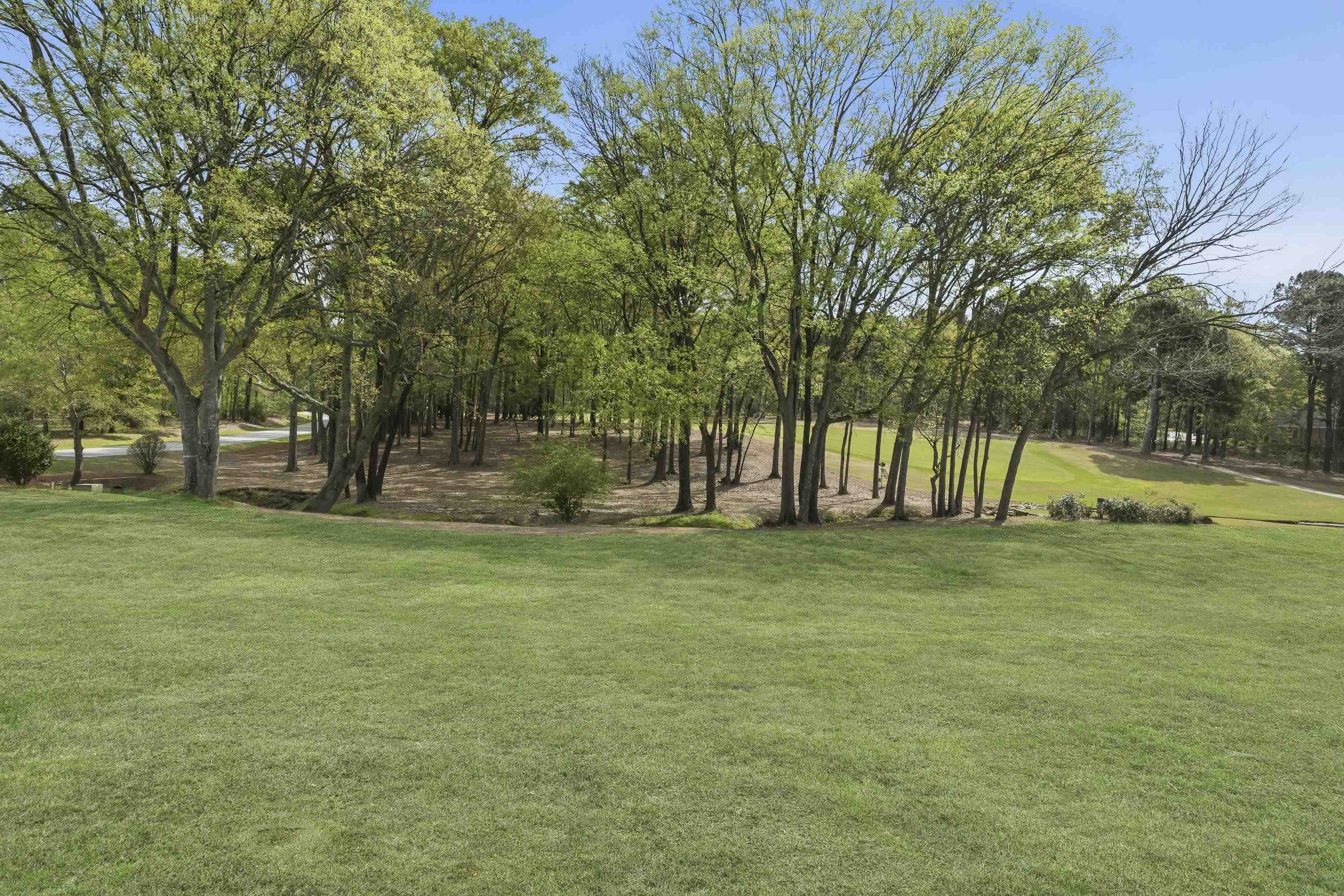 164 Reynolds Drive image 3