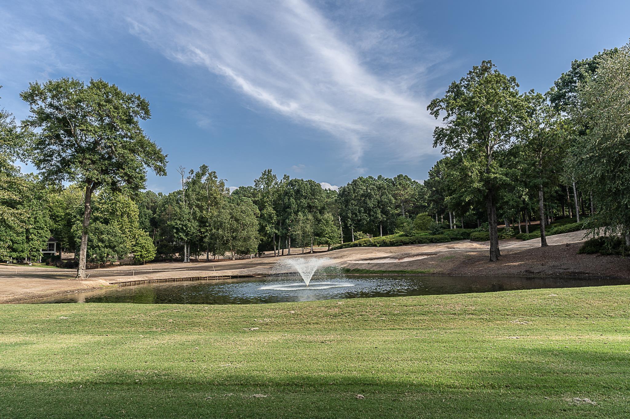 164 Reynolds Drive image 19