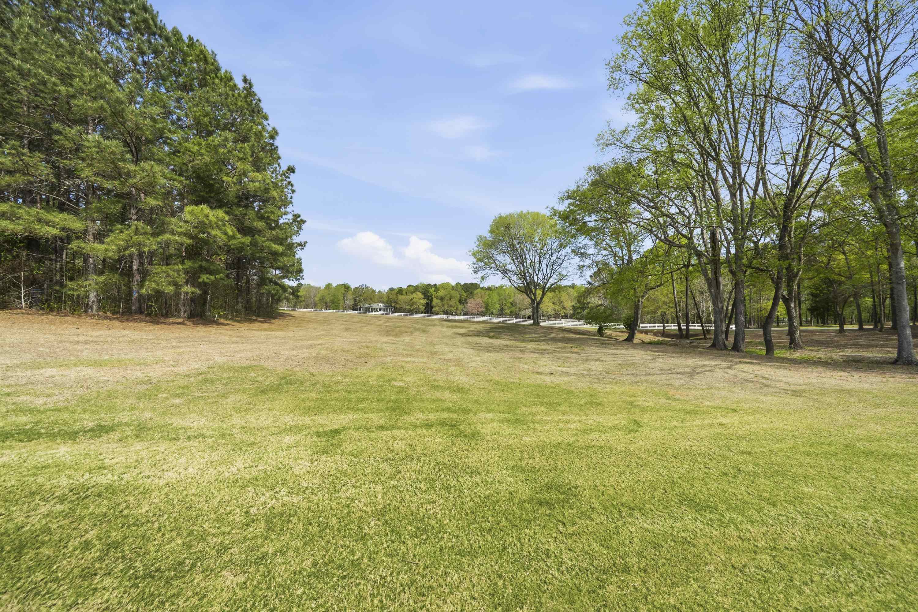 164 Reynolds Drive image 4