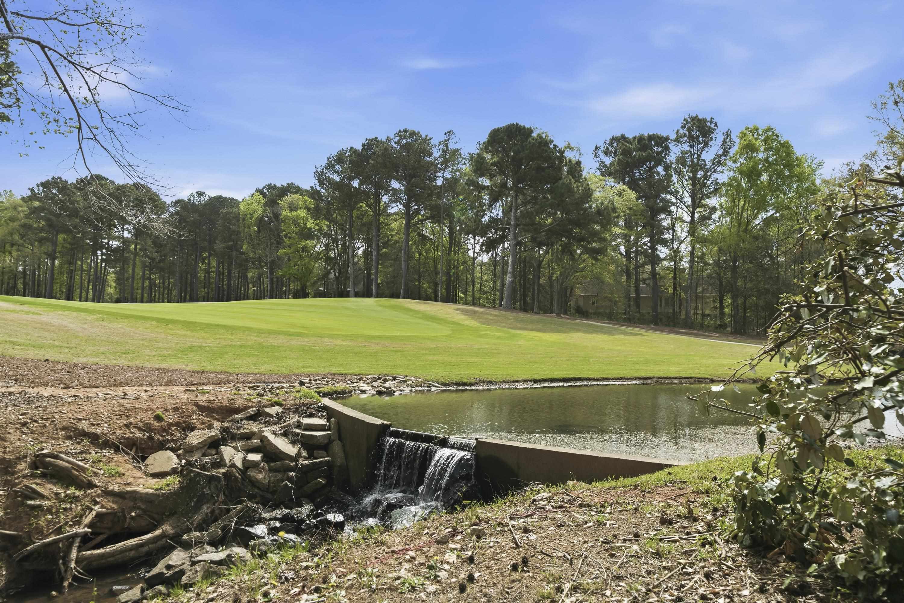 164 Reynolds Drive image 5