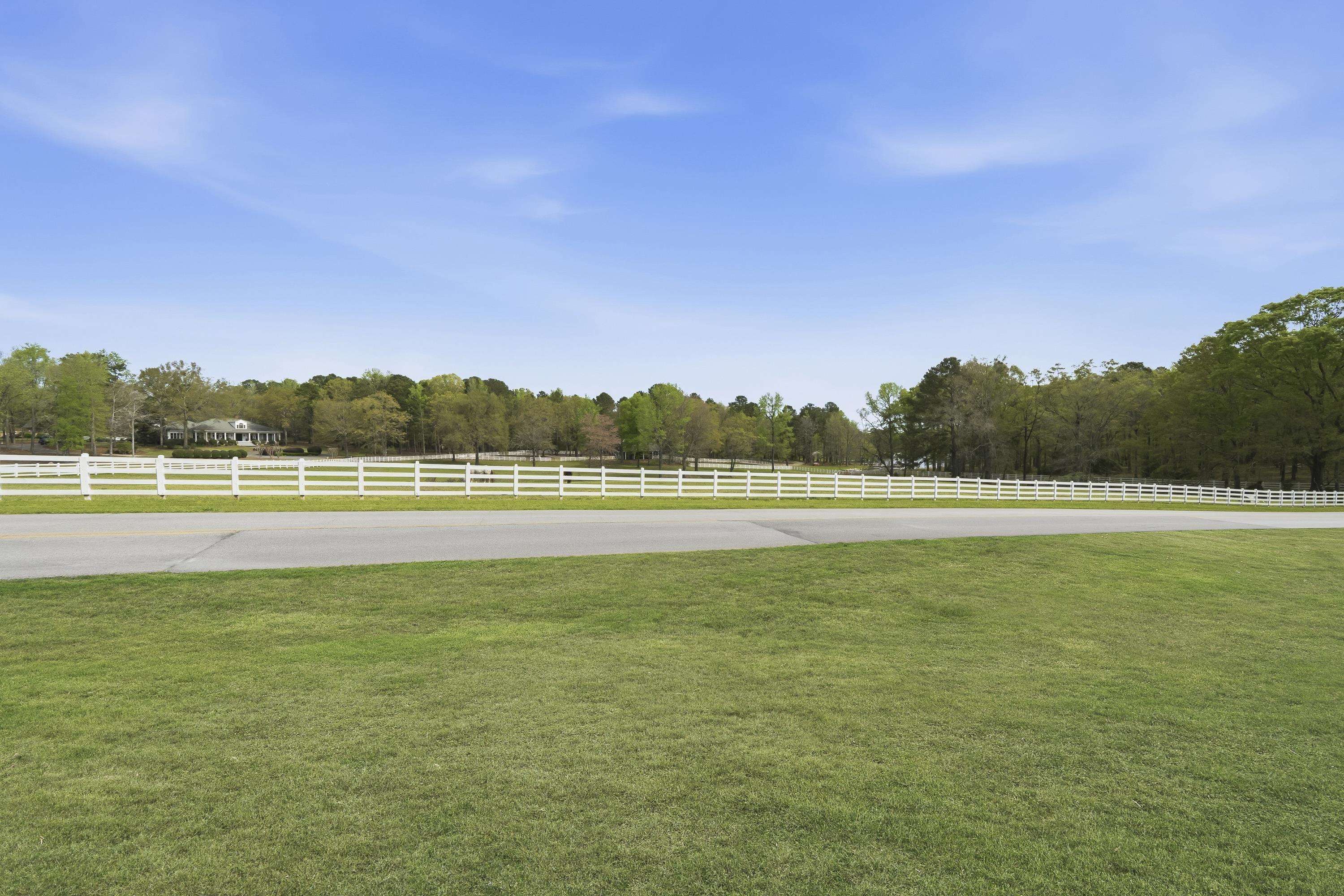 164 Reynolds Drive image 6