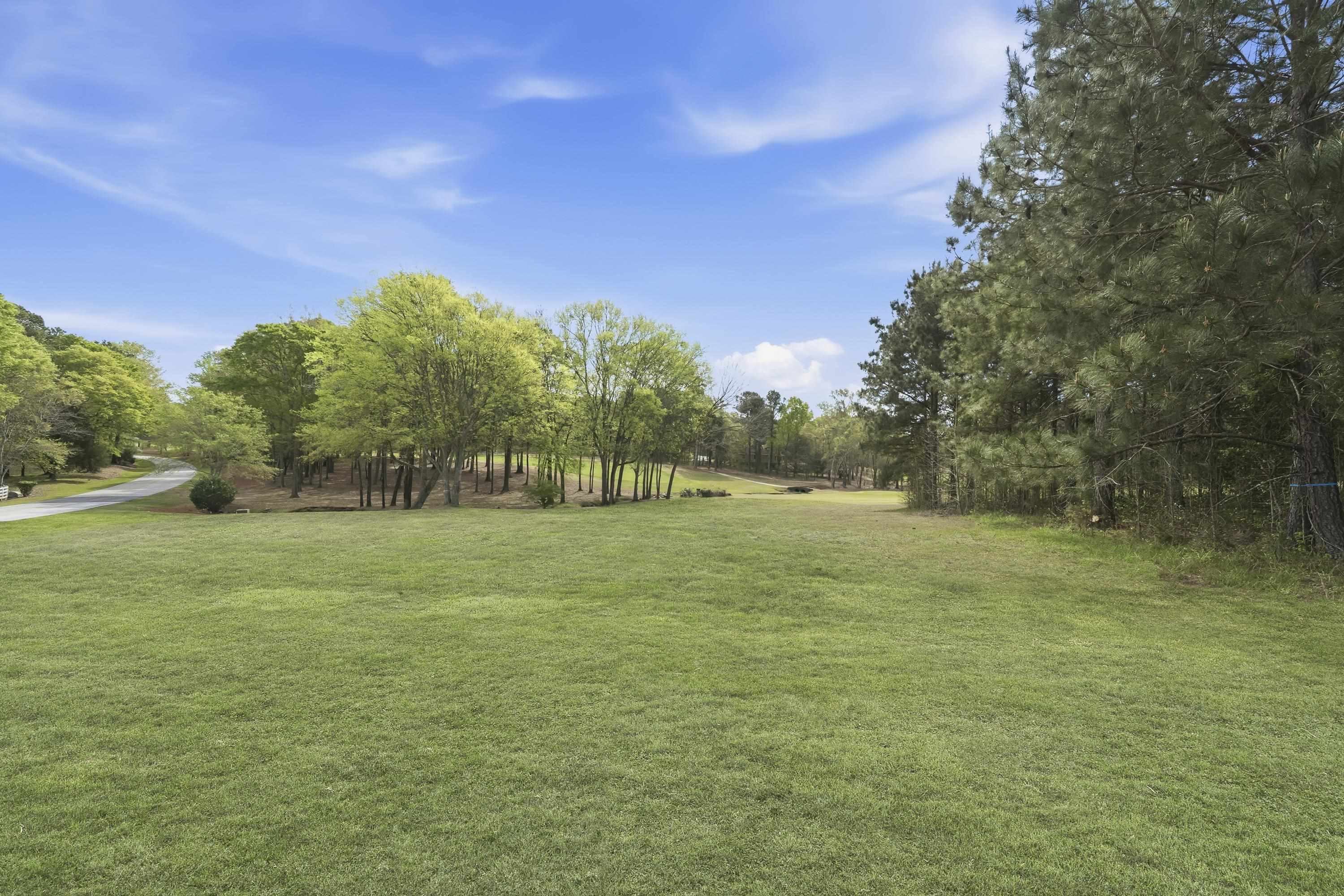 164 Reynolds Drive image 7