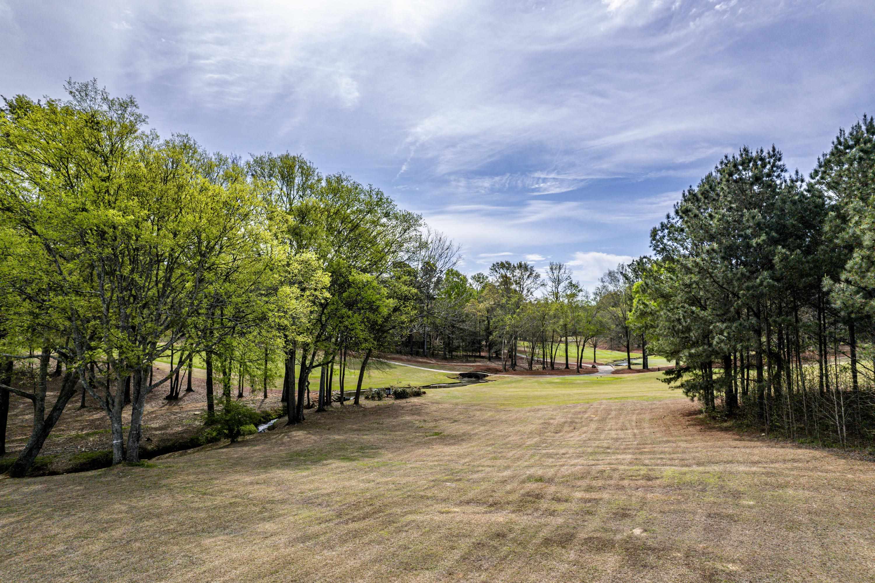 164 Reynolds Drive image 8