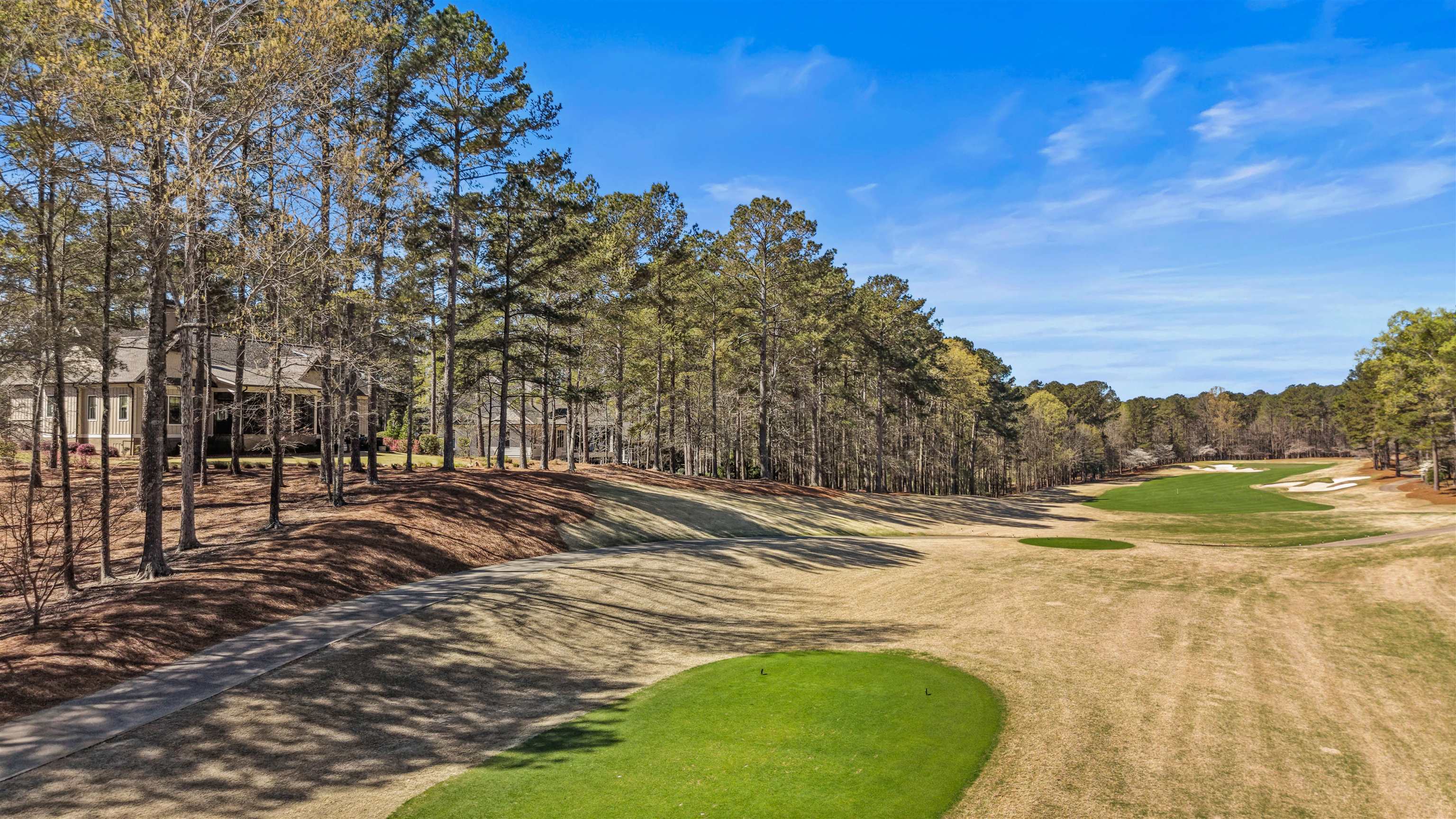 1130 BACHELORS RUN image 3