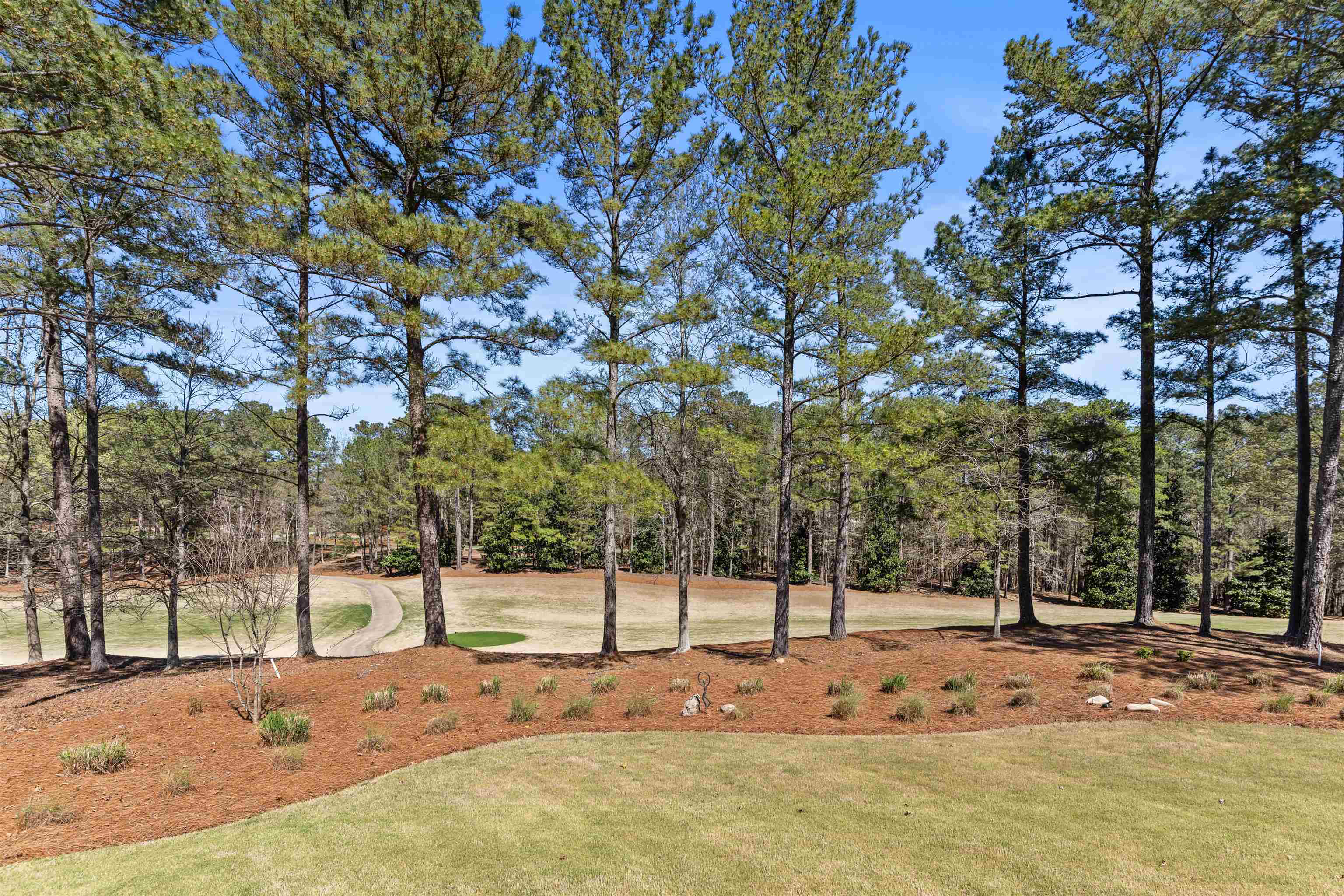 1130 BACHELORS RUN image 54