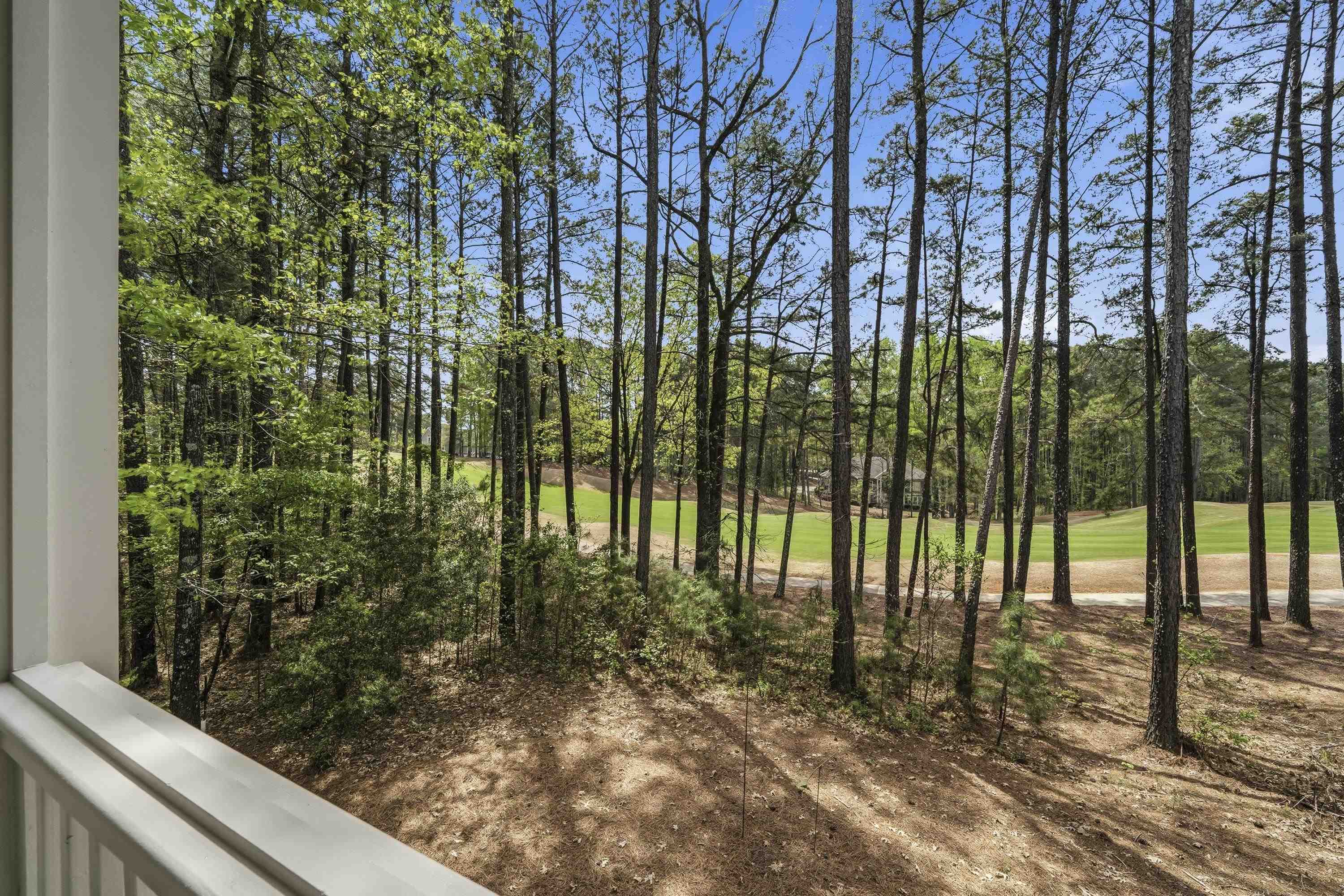 1051 PORTSIDE COURT image 30