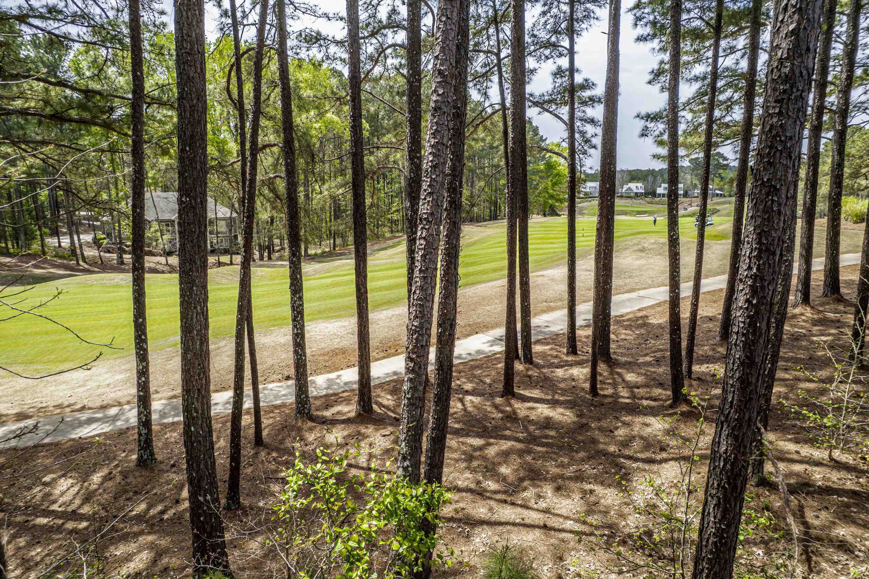 1051 PORTSIDE COURT image 4