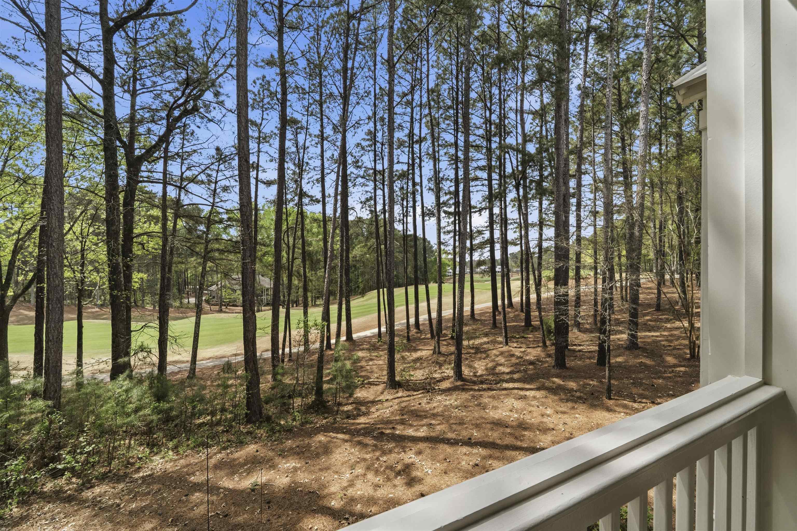 1051 PORTSIDE COURT image 31