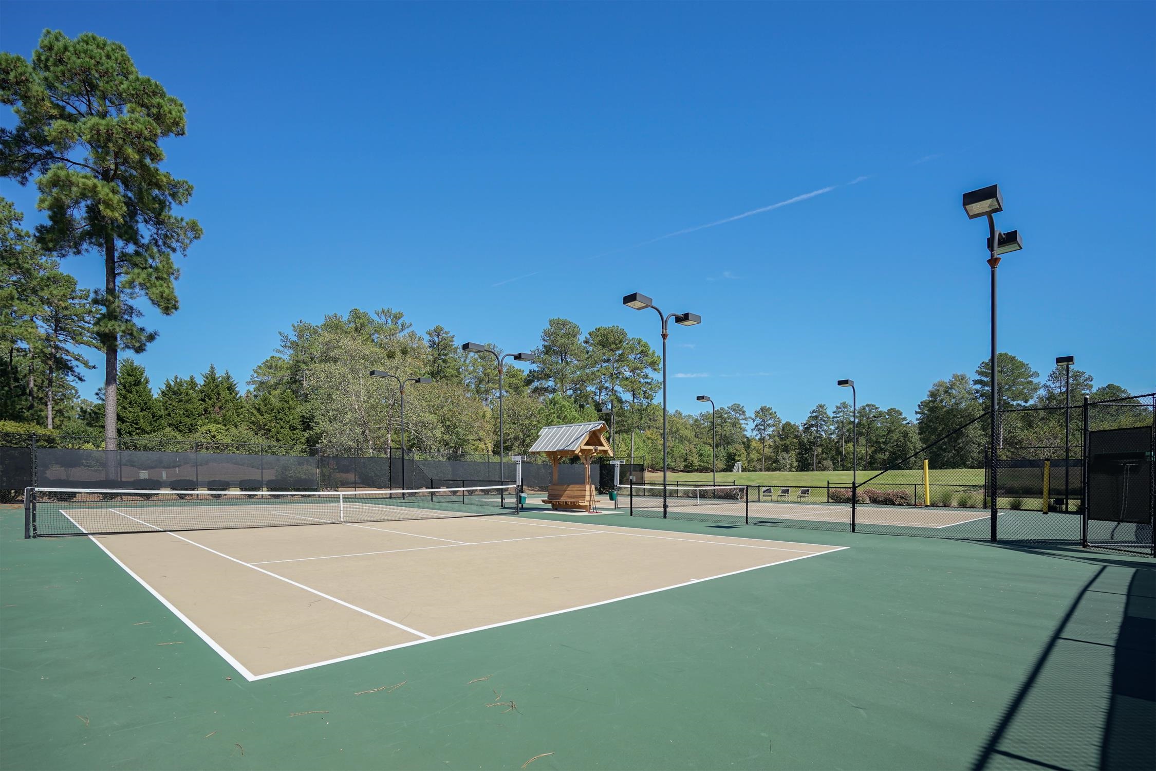 1051 PORTSIDE COURT image 58